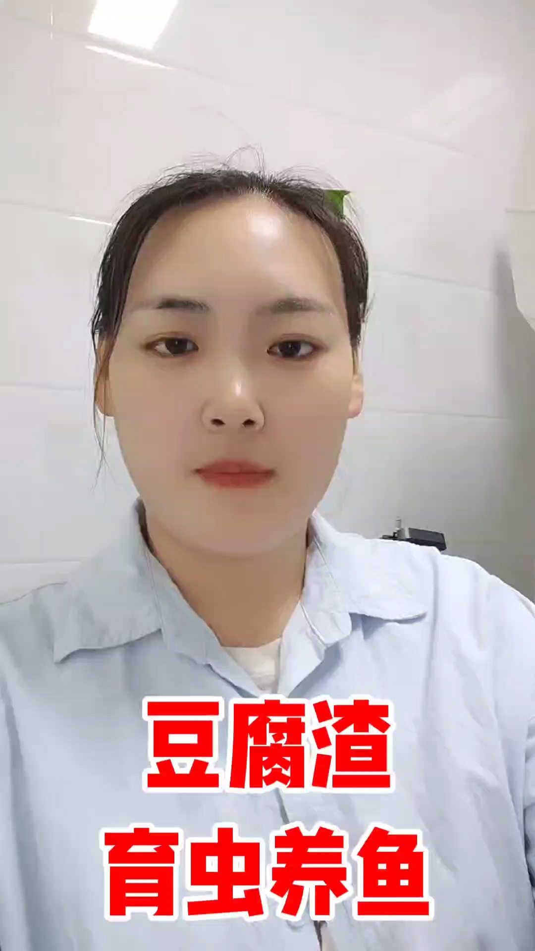 水产养殖豆腐渣育虫养鱼#水产养殖技术#鱼虾蟹养殖#