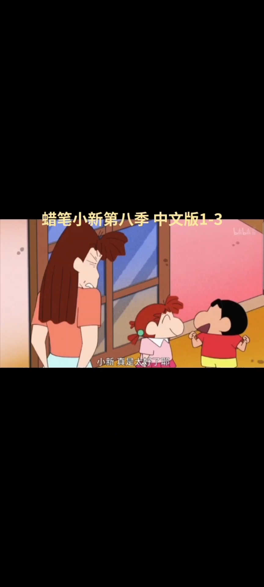 蜡笔小新第八季中文版2