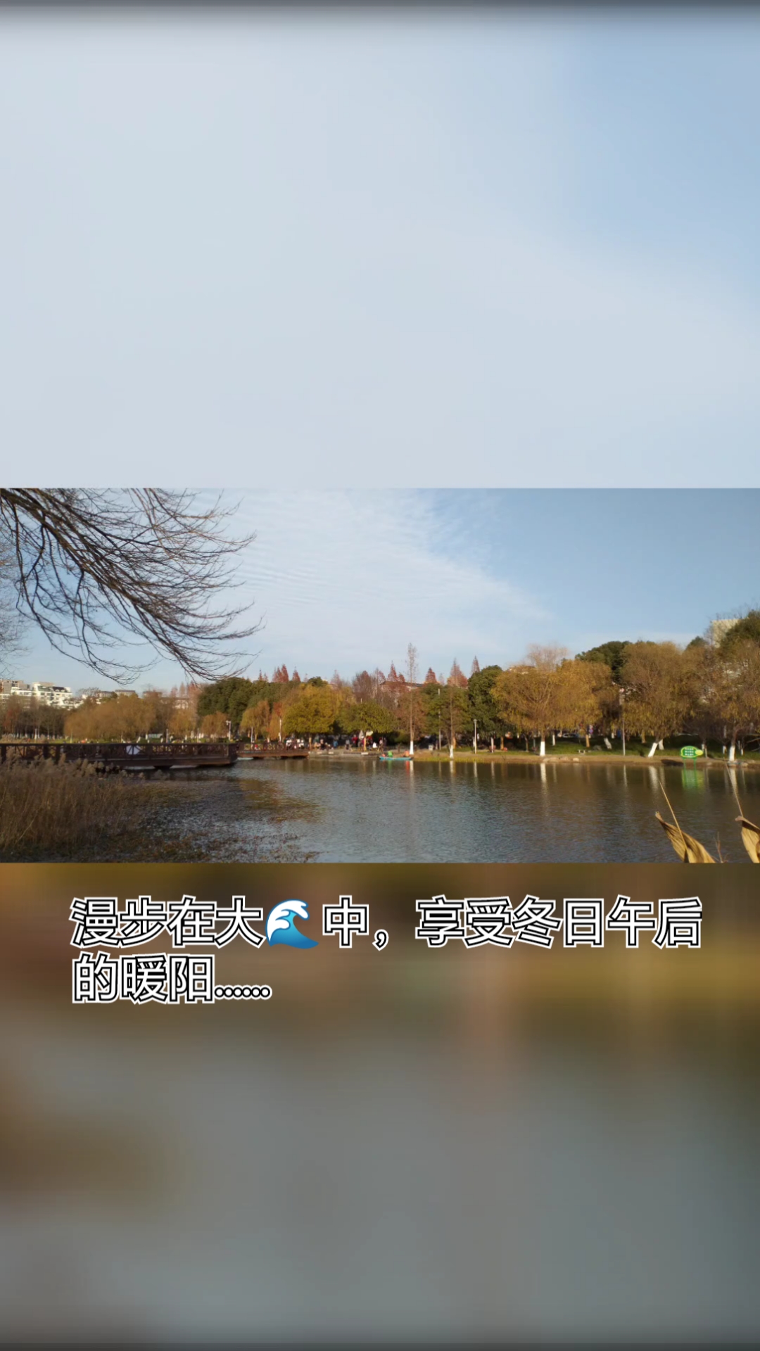 冬日暖阳午后的时光