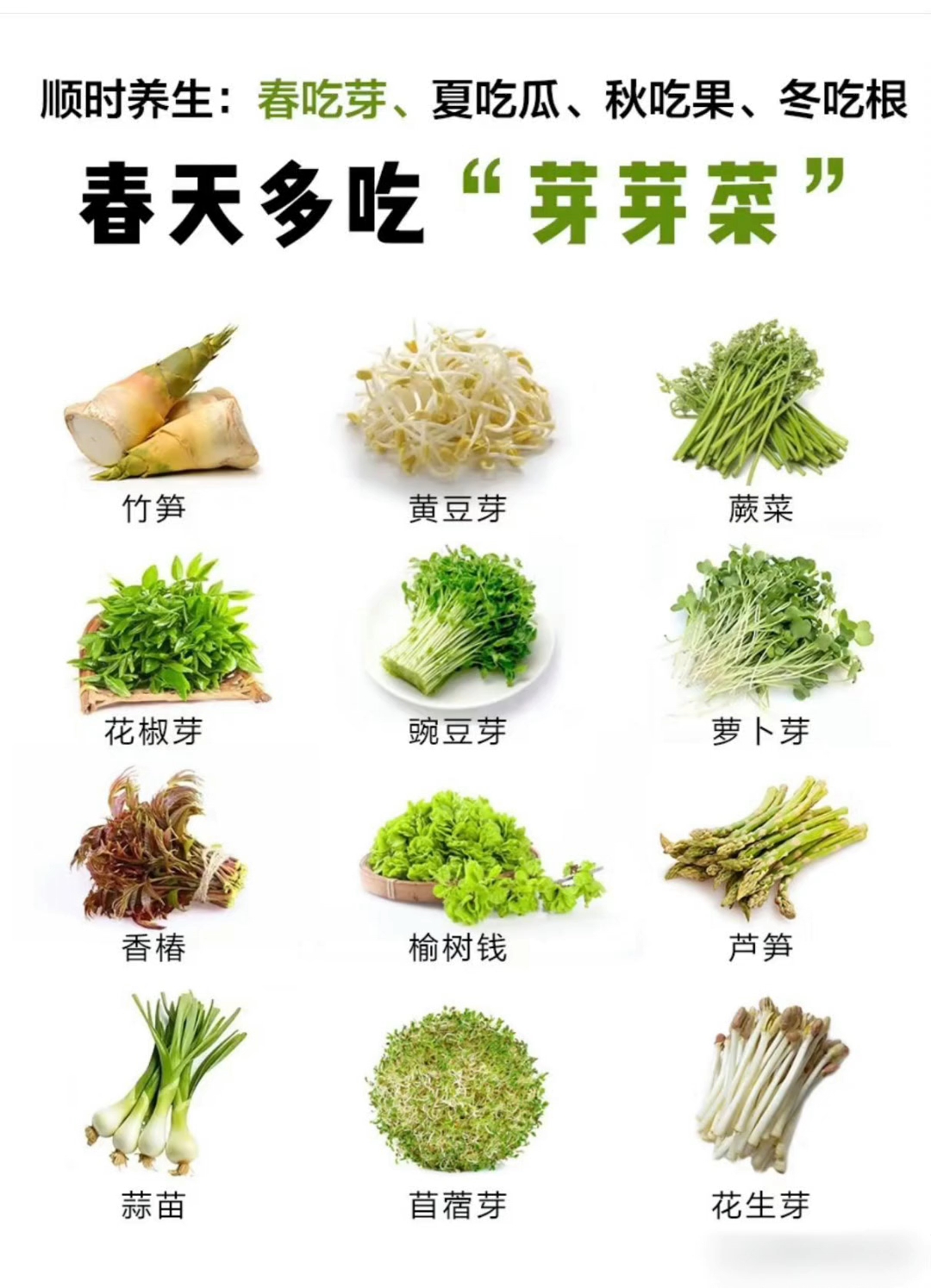 春天长了很多有“芽”的菜,多吃时令菜哦!