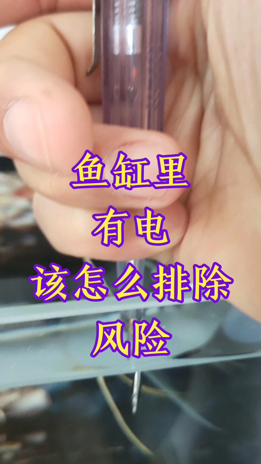 鱼乐生活记录(鱼缸里有电)