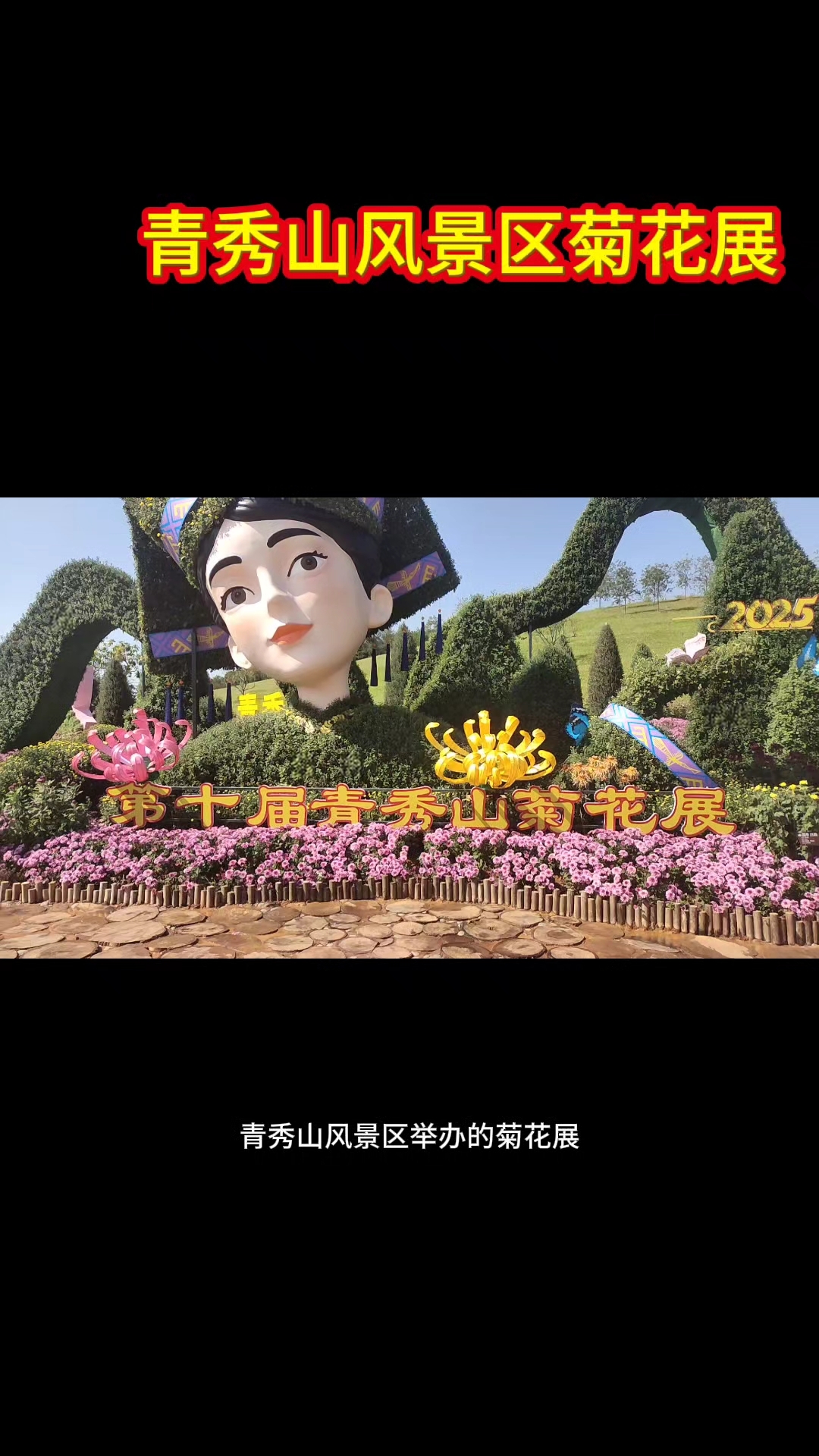 南宁青秀山风景区菊花展