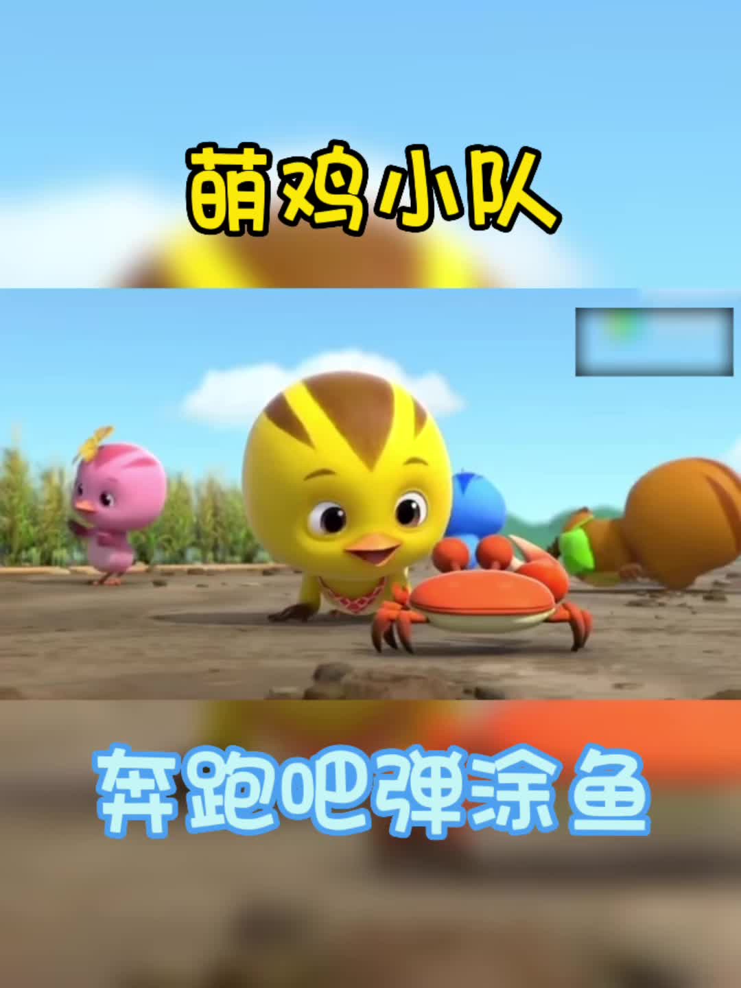 萌鸡小队
