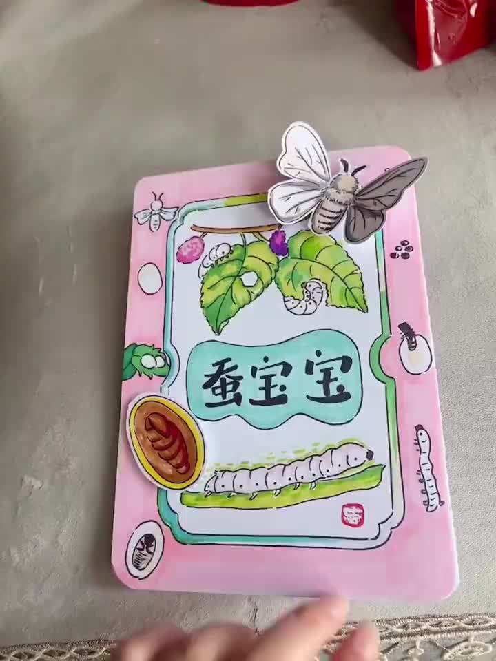 蚕宝宝成长过程绘本