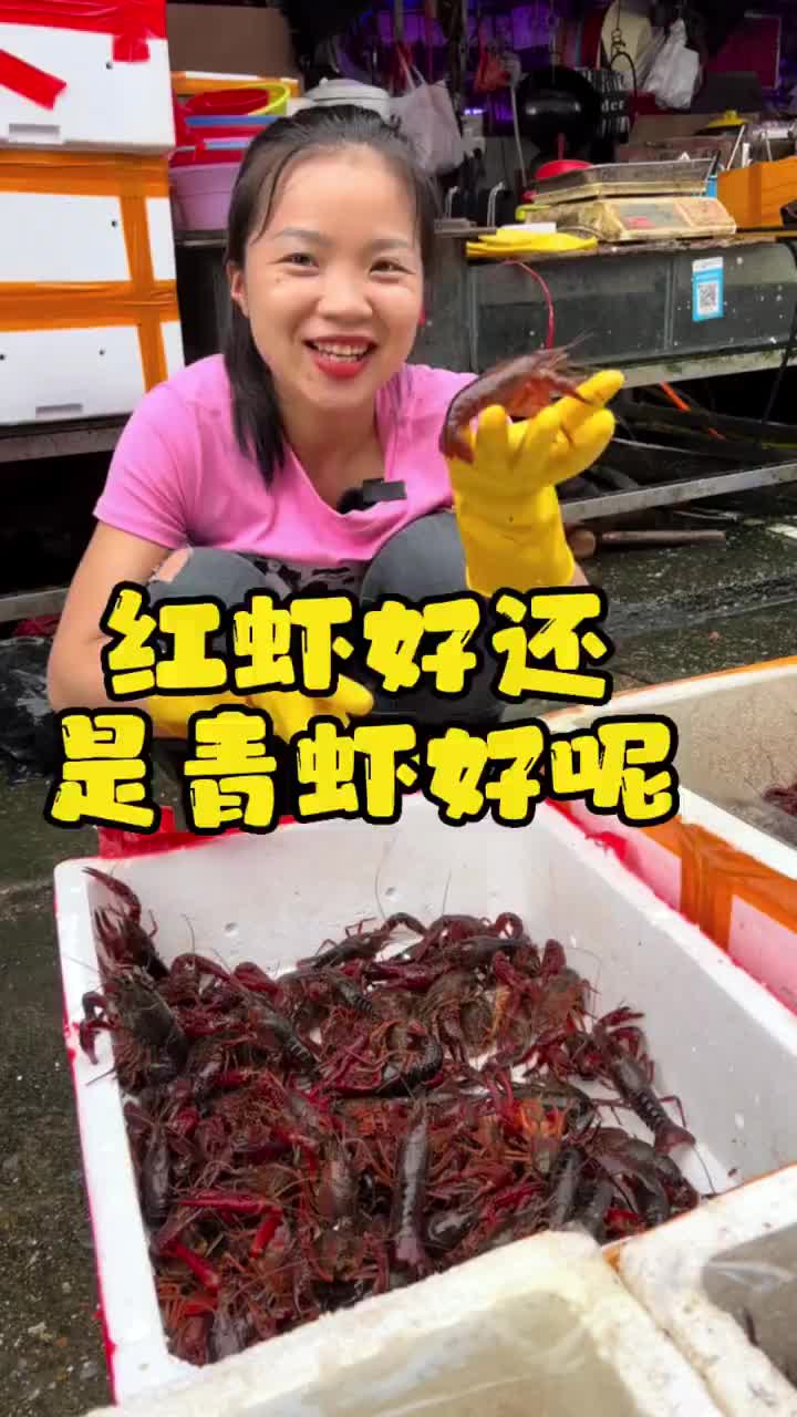去菜市场买龙虾到底是红虾好还是青虾好呢今天宝妹告诉你  