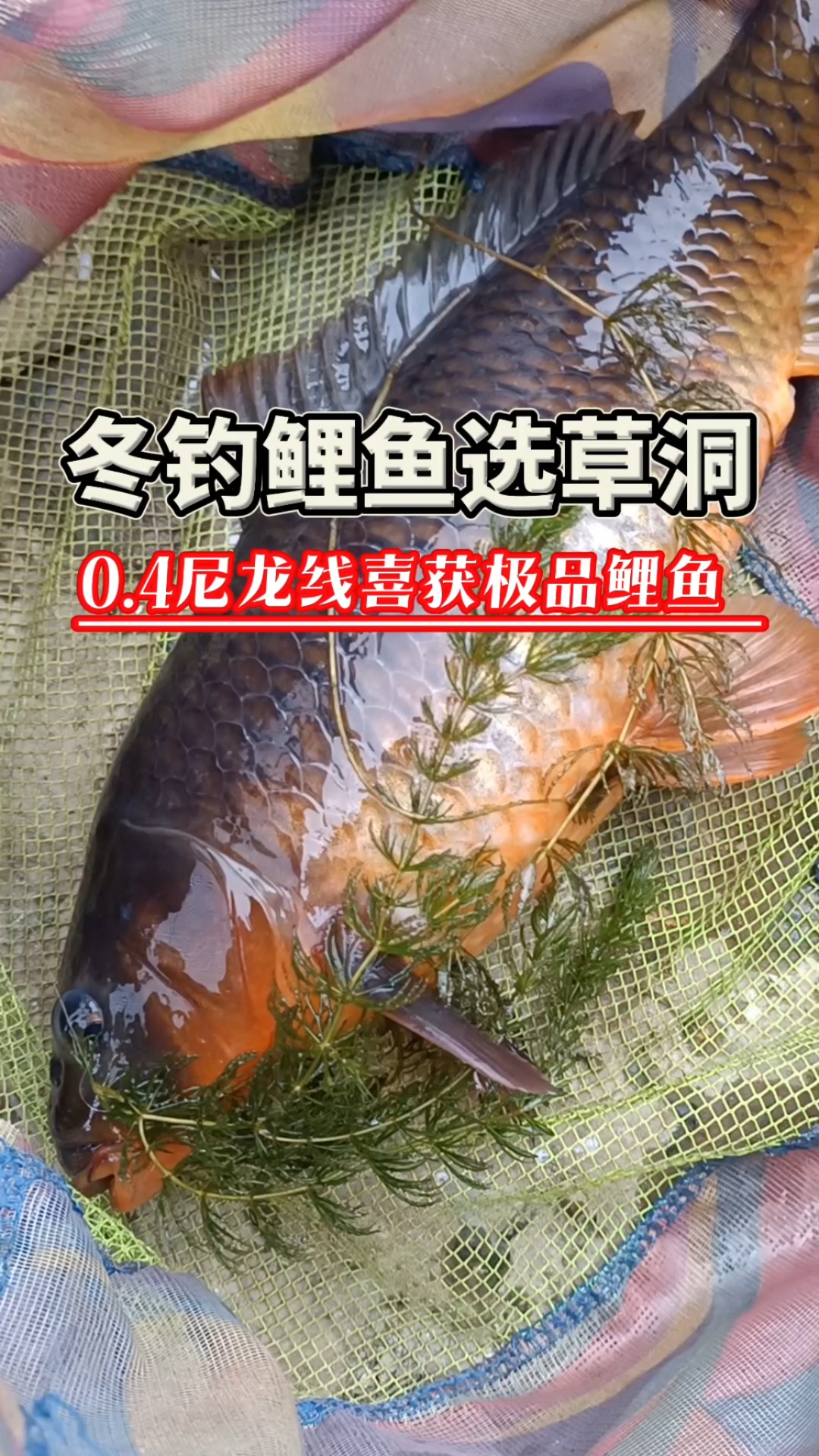 玩野钓很多年,第一次在漓江钓到这么漂亮的鱼