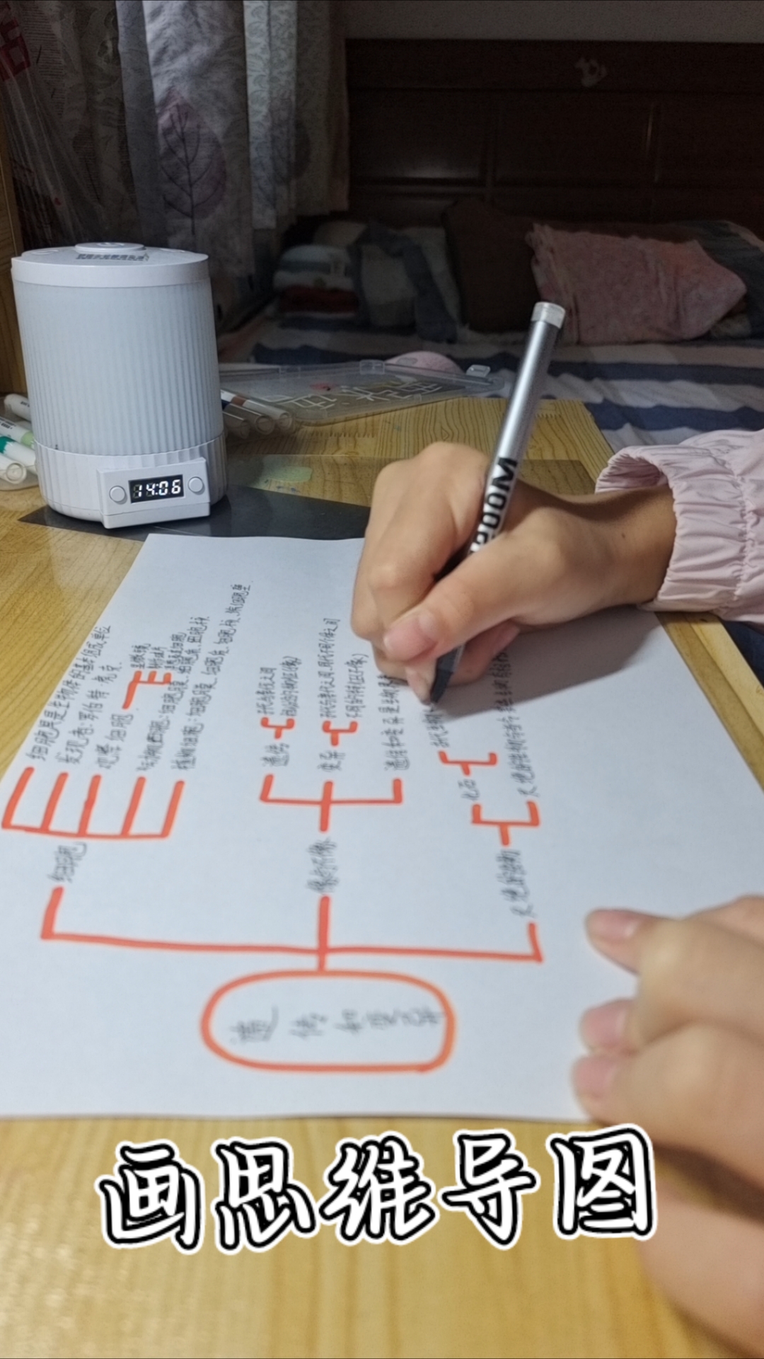 画思维导图
