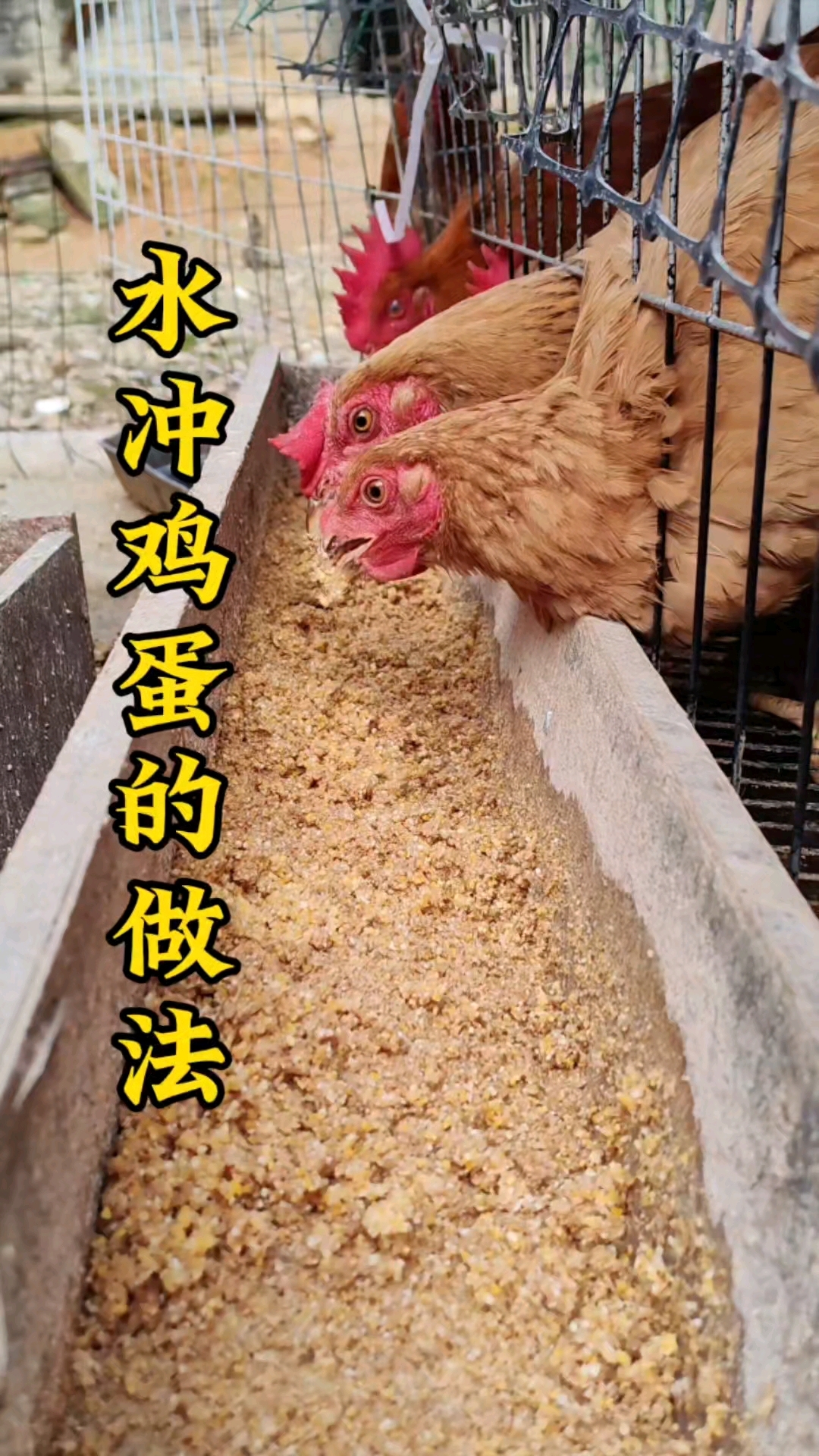 水冲鸡蛋的正确做法