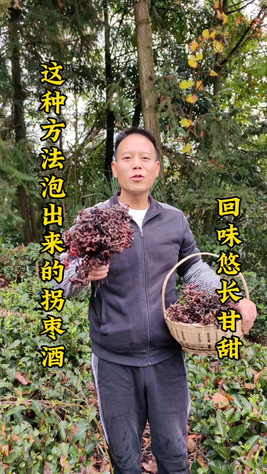 拐枣泡酒的教程