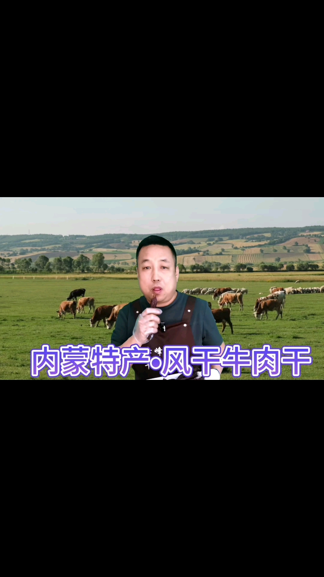 内蒙特产碳烤牛肉干
