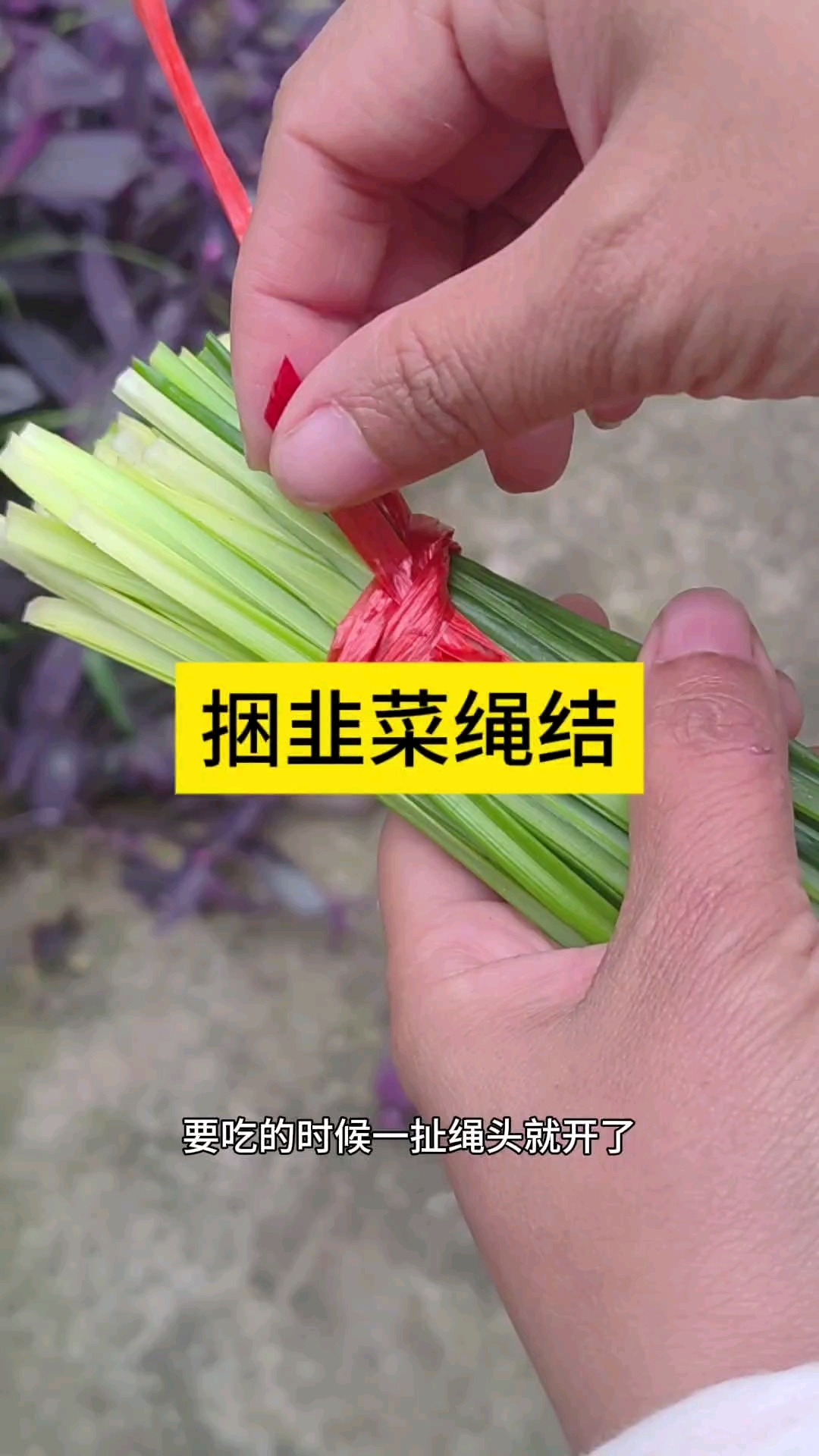 捆韭菜绳结 #绳结技巧 #生活小技巧学会你就捡到宝了
