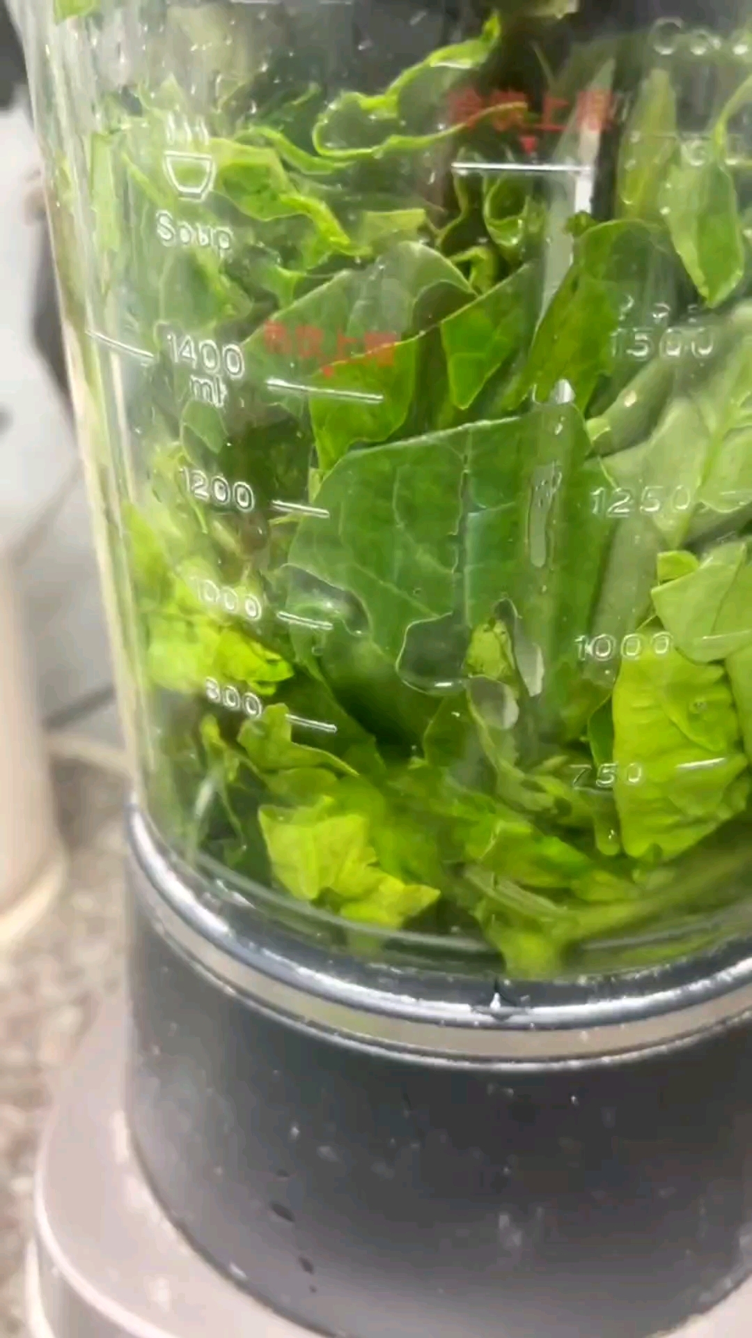 菠菜汁皮玉米馅水饺