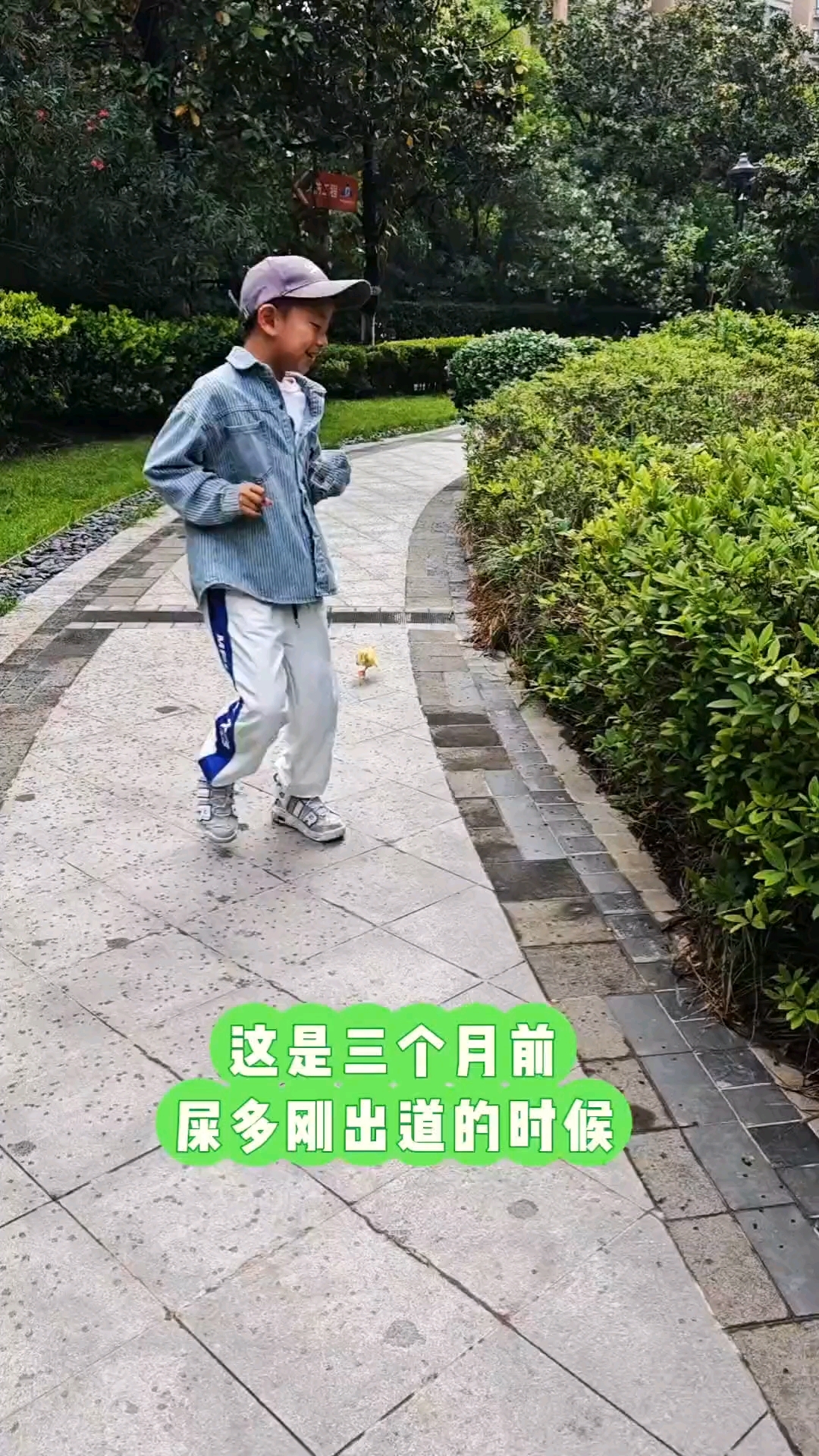 一转眼鸭子就长大了