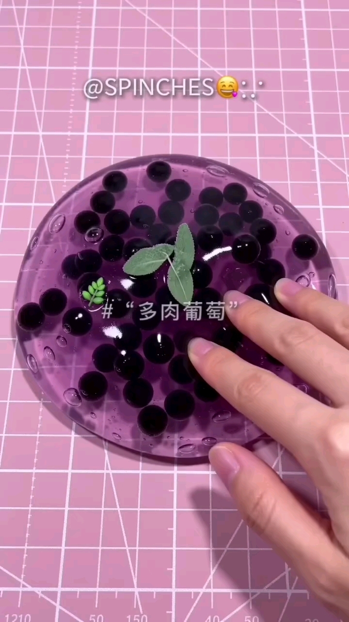 多肉葡萄