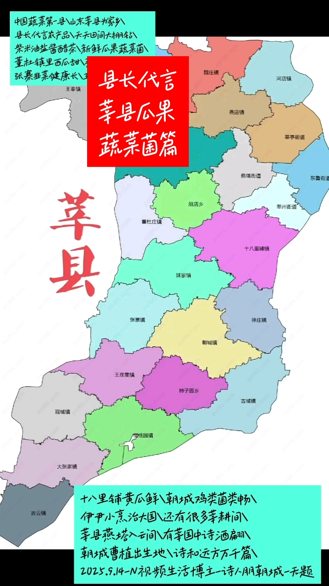 中国蔬菜第一县\山东莘县为家乡\县长代言农产品\天天田间大棚