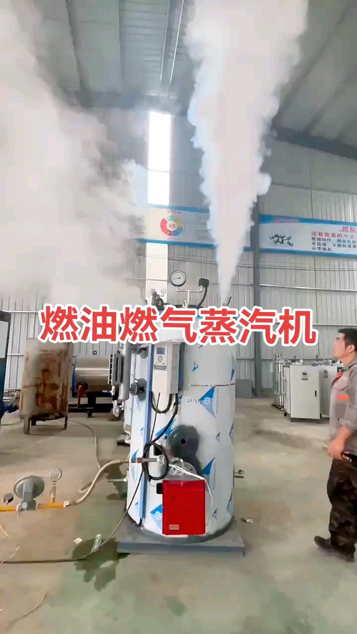 立式燃油燃气生物质颗粒蒸汽发生器厂家直销