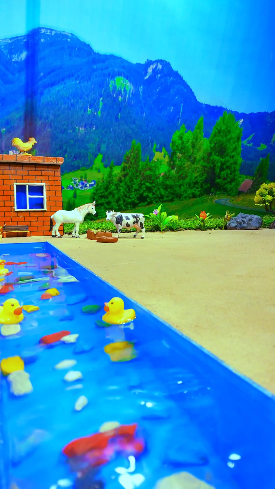 #小黄鸭游泳记#