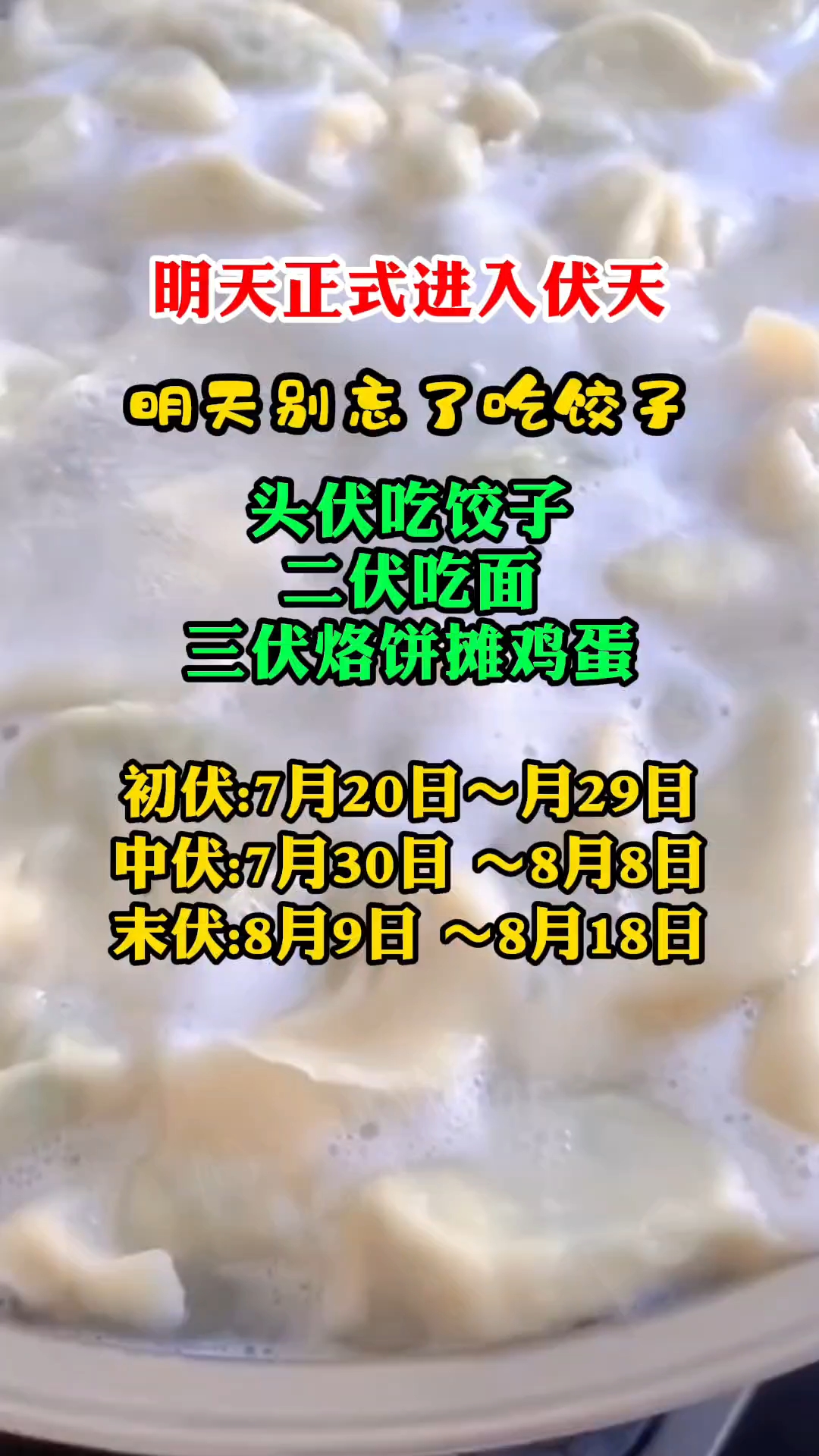 明天正式入伏了,别忘了吃饺子呦