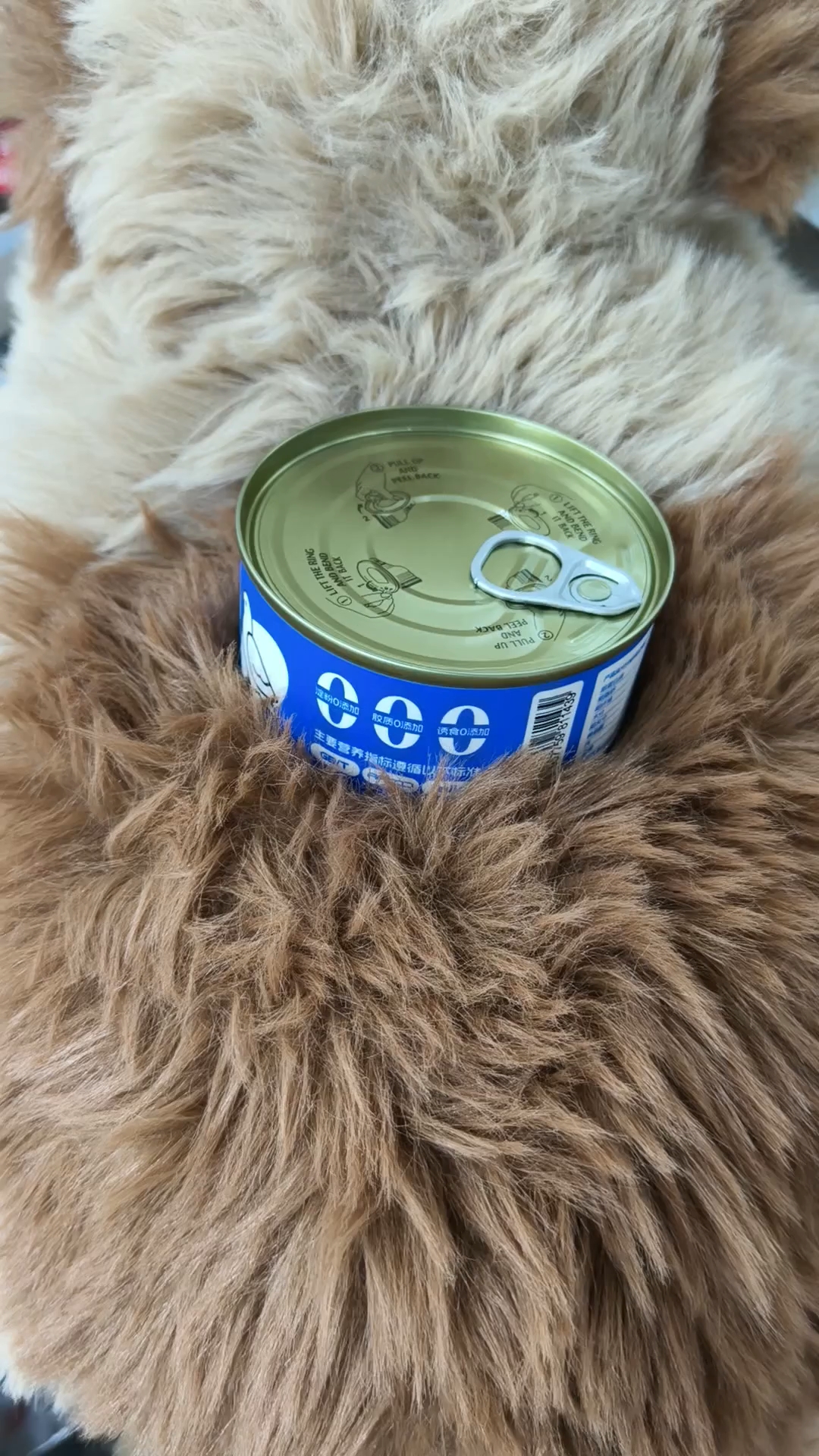 狗罐头哪款好?营养补水主食罐推荐 #希喂狗罐头