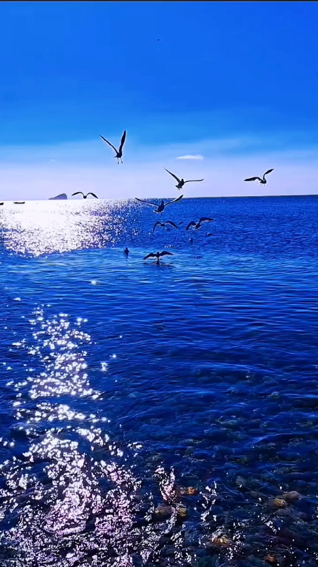 我爱这蓝色海洋。