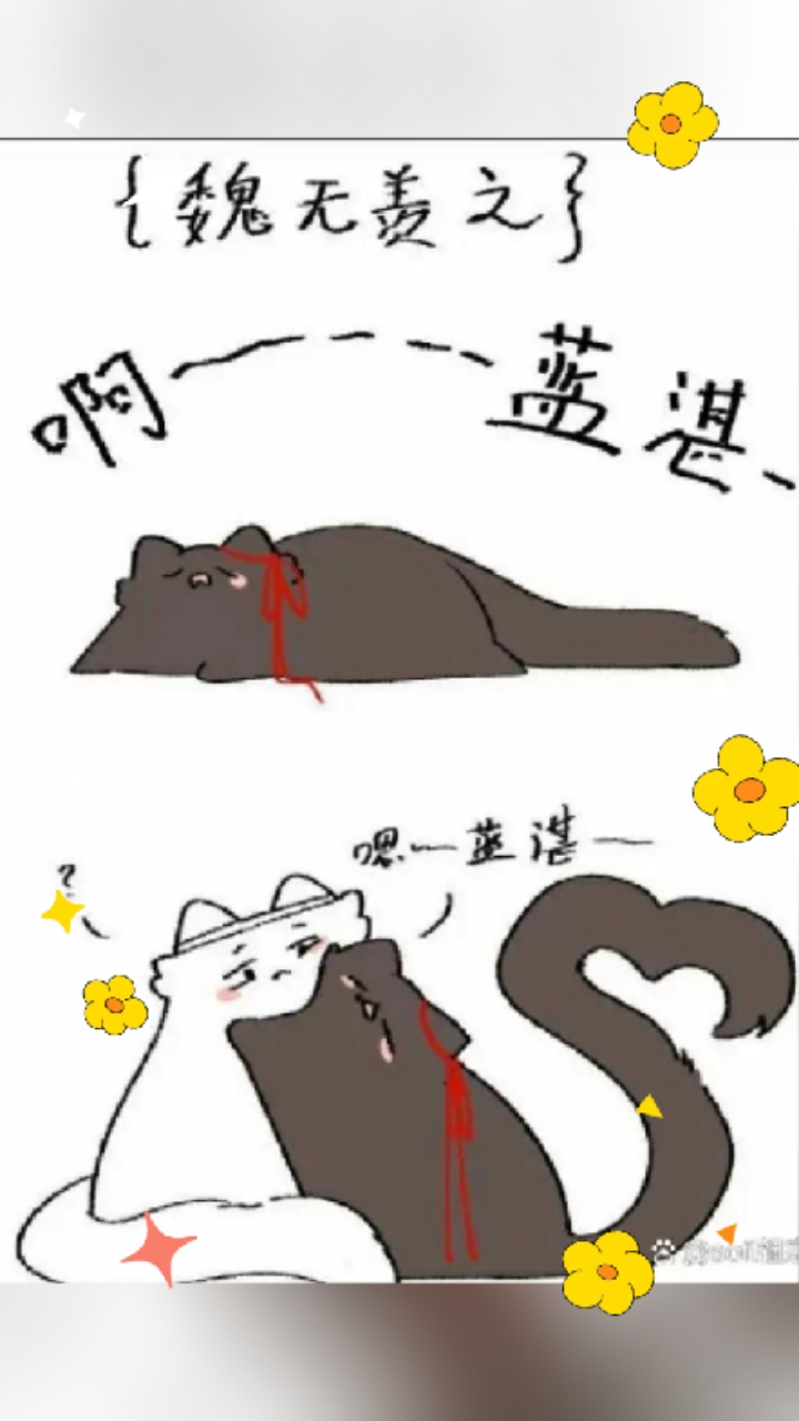 蓝湛魏无羡喵化生活