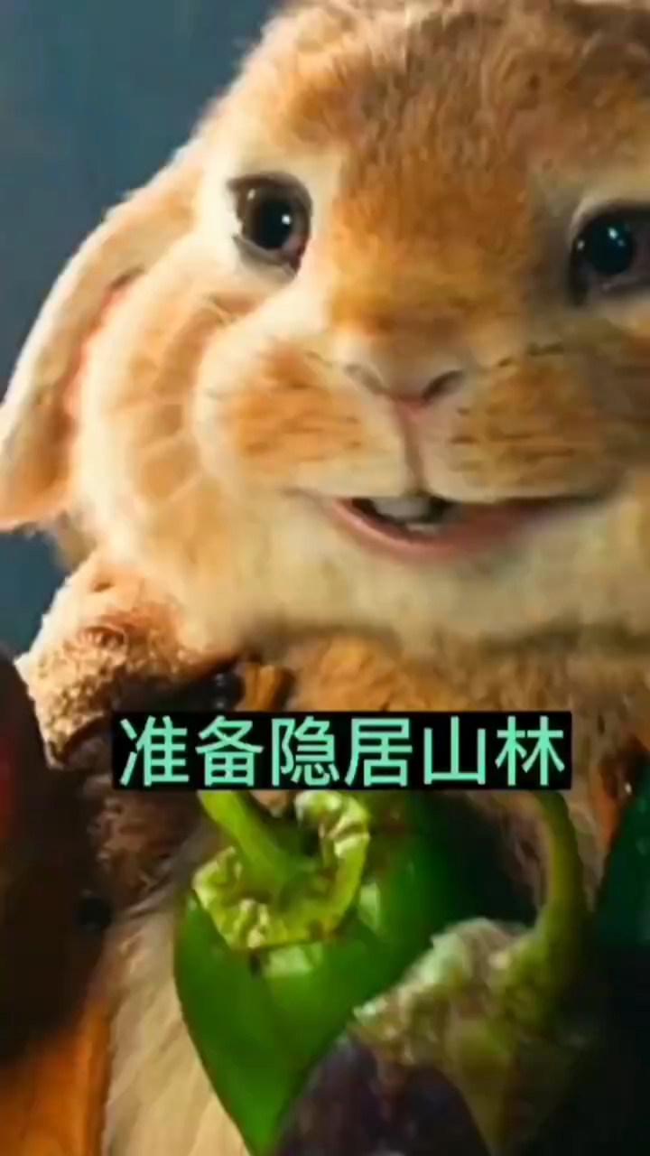 休闲时刻的惬意说说....我这个人超好的,你可以放心喜欢一下