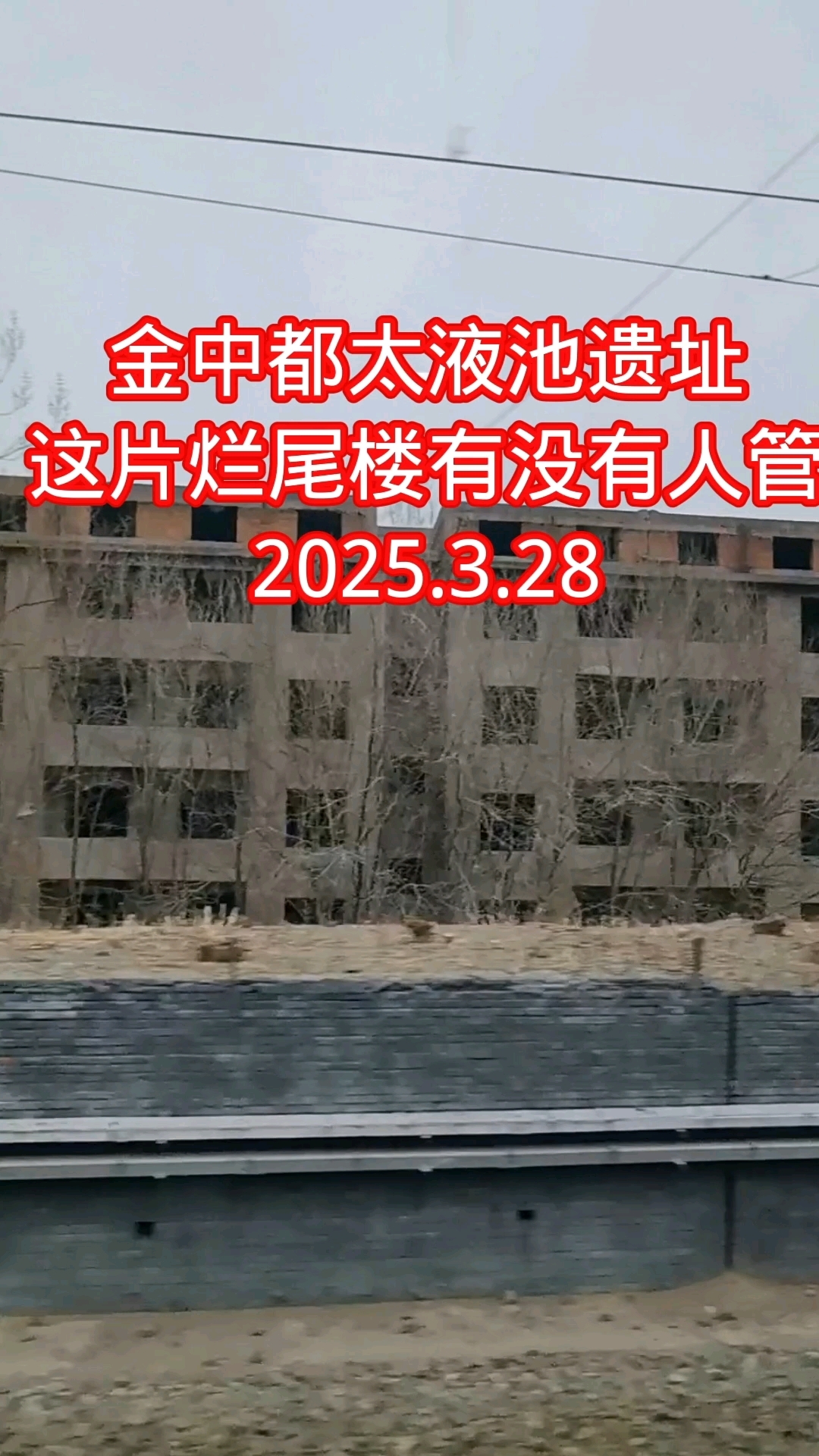 分享视频
