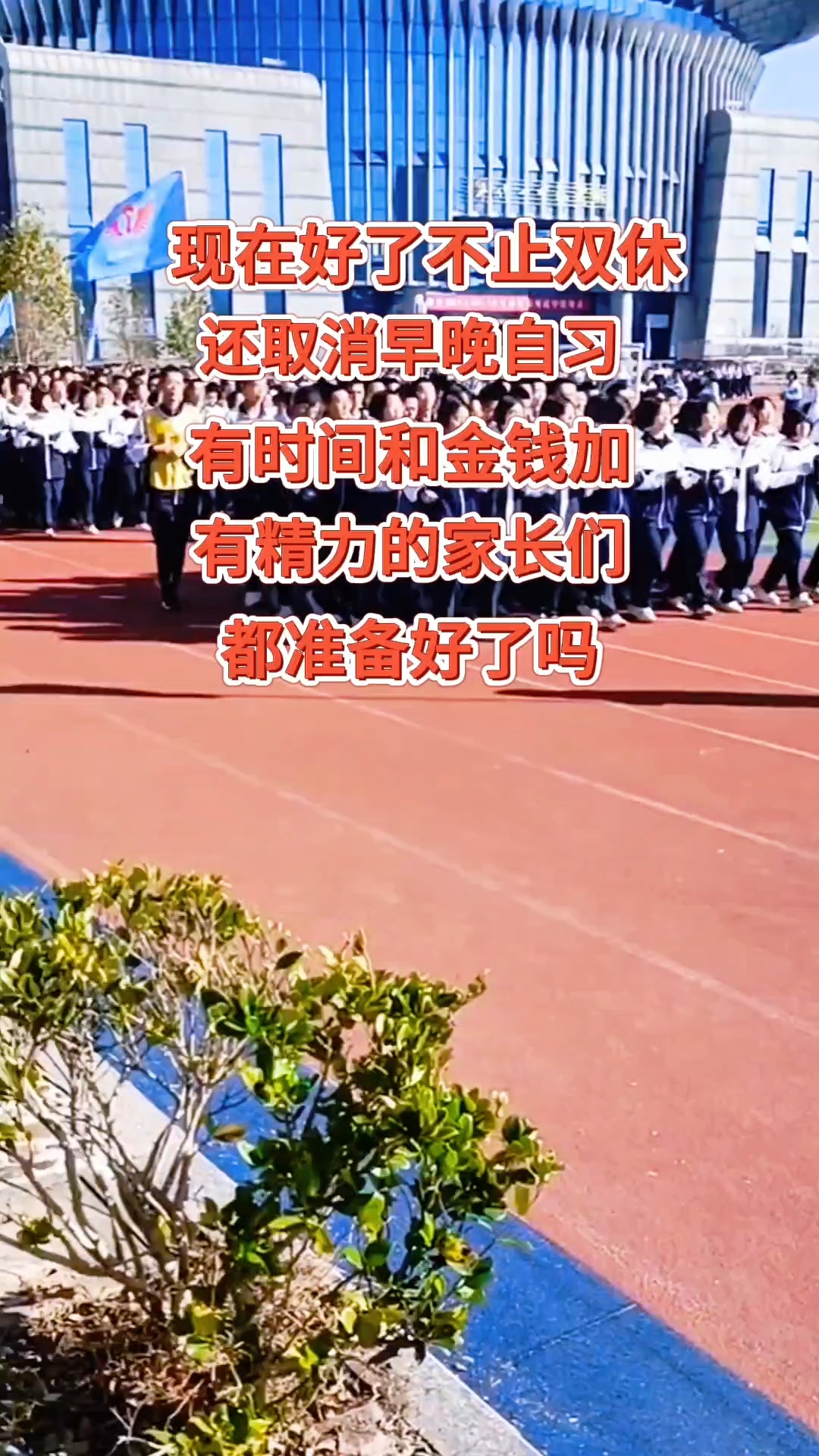 鸡飞狗跳的日子来了
