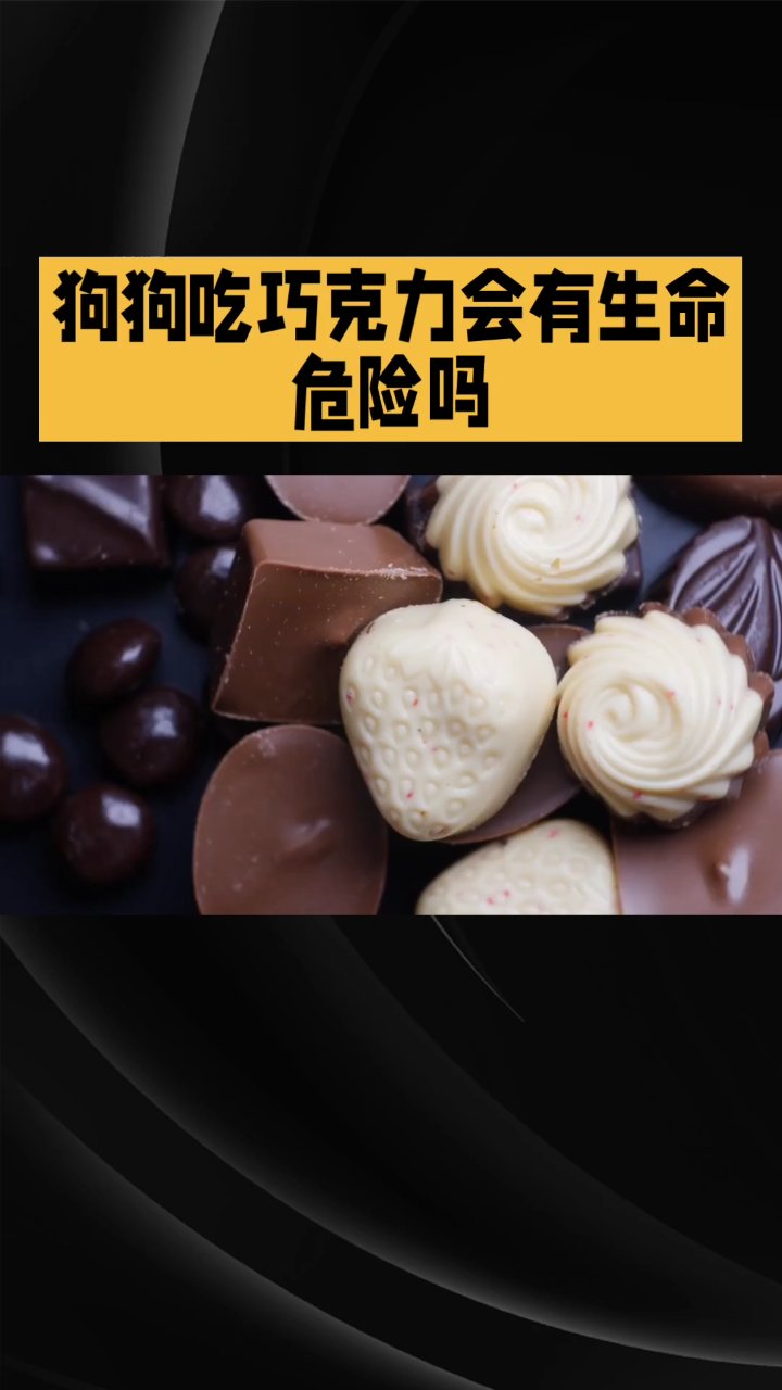 狗狗吃吃巧克力会死吗?!