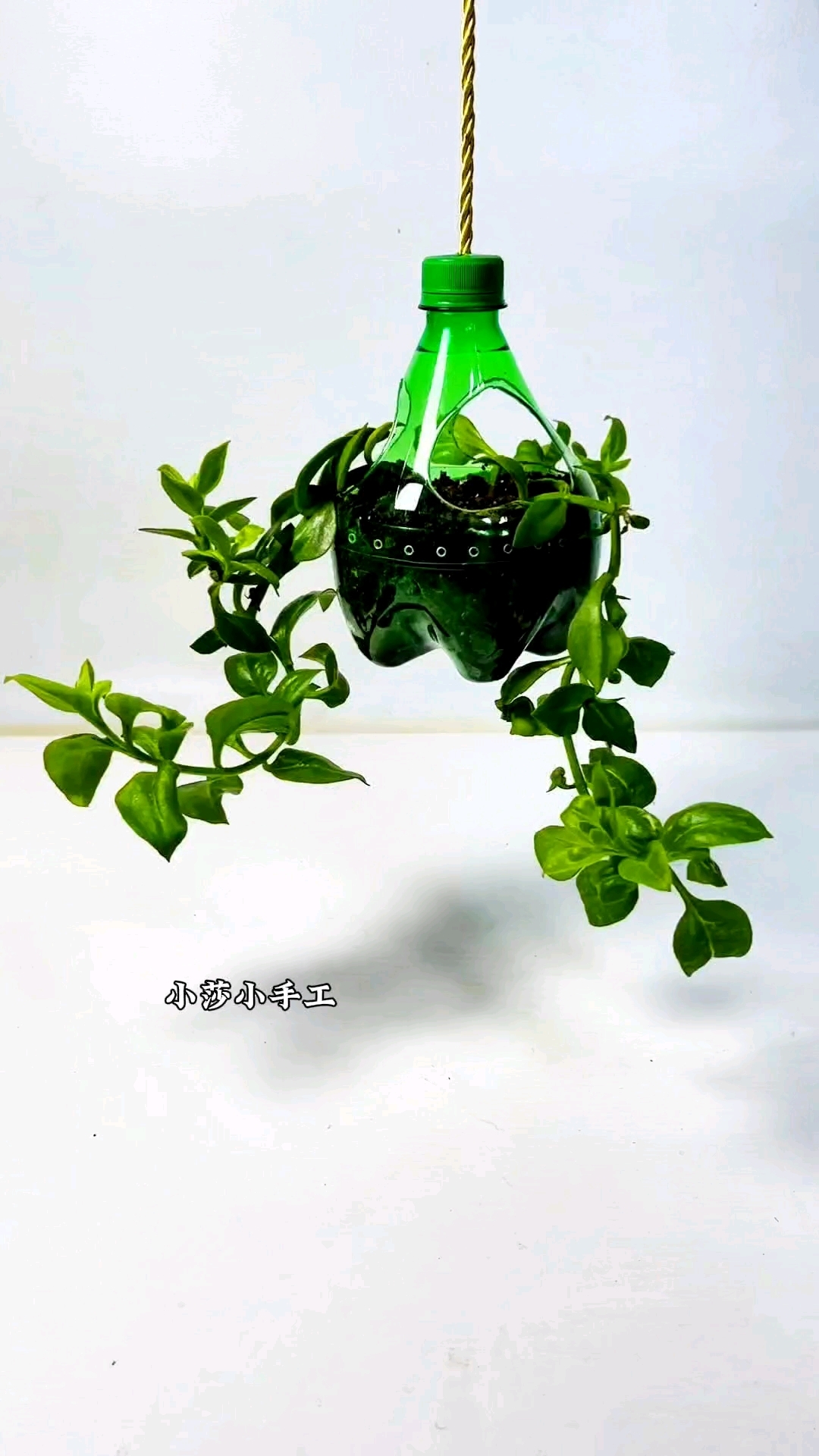 饮料瓶变废为宝制作花盆#手工 #手工diy #手工花盆#自制