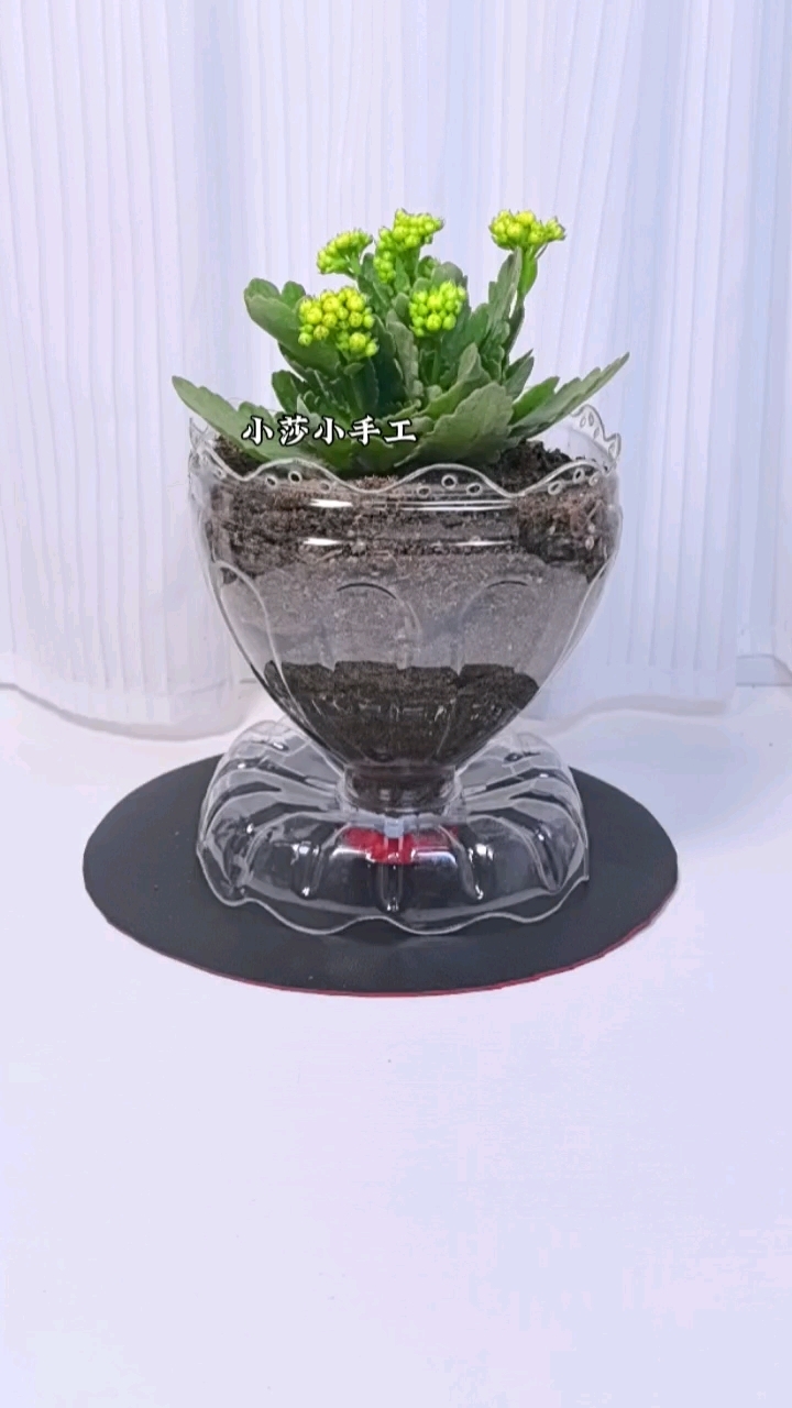 大号矿泉水瓶做花盆种花种菜都漂亮#自制花盆 #手工diy 