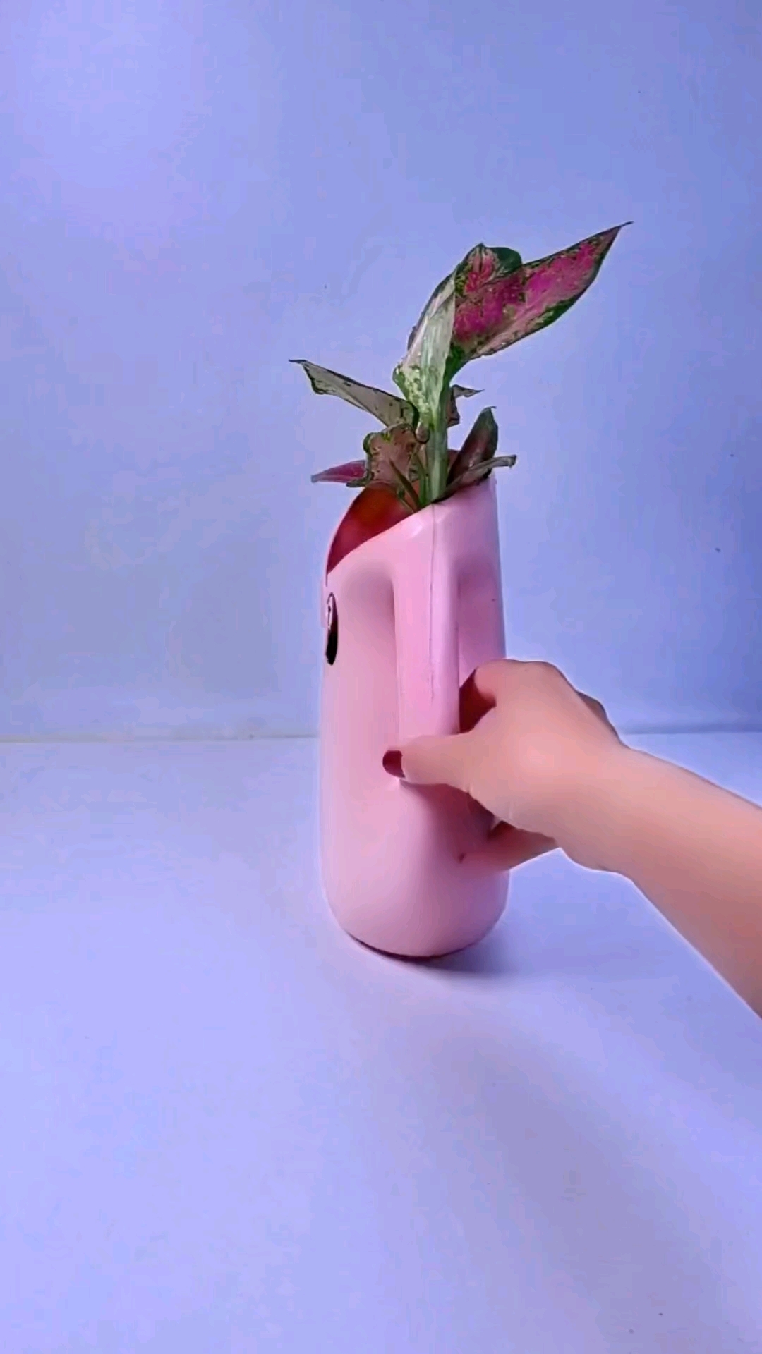 洗衣液瓶做简易花盆#手工 #自制花盆#空瓶子的妙用#废物利用