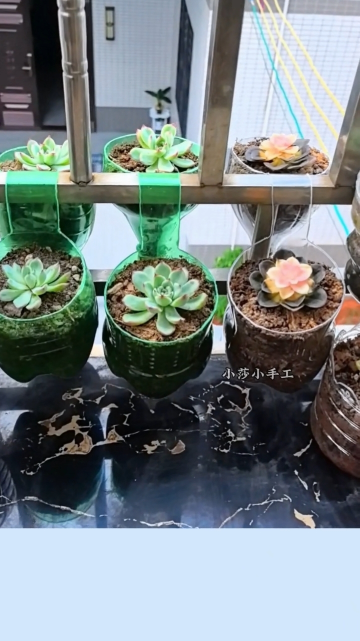 饮料瓶中间割一下挂在阳阳台种菜种花都漂亮#手工#手工花盆