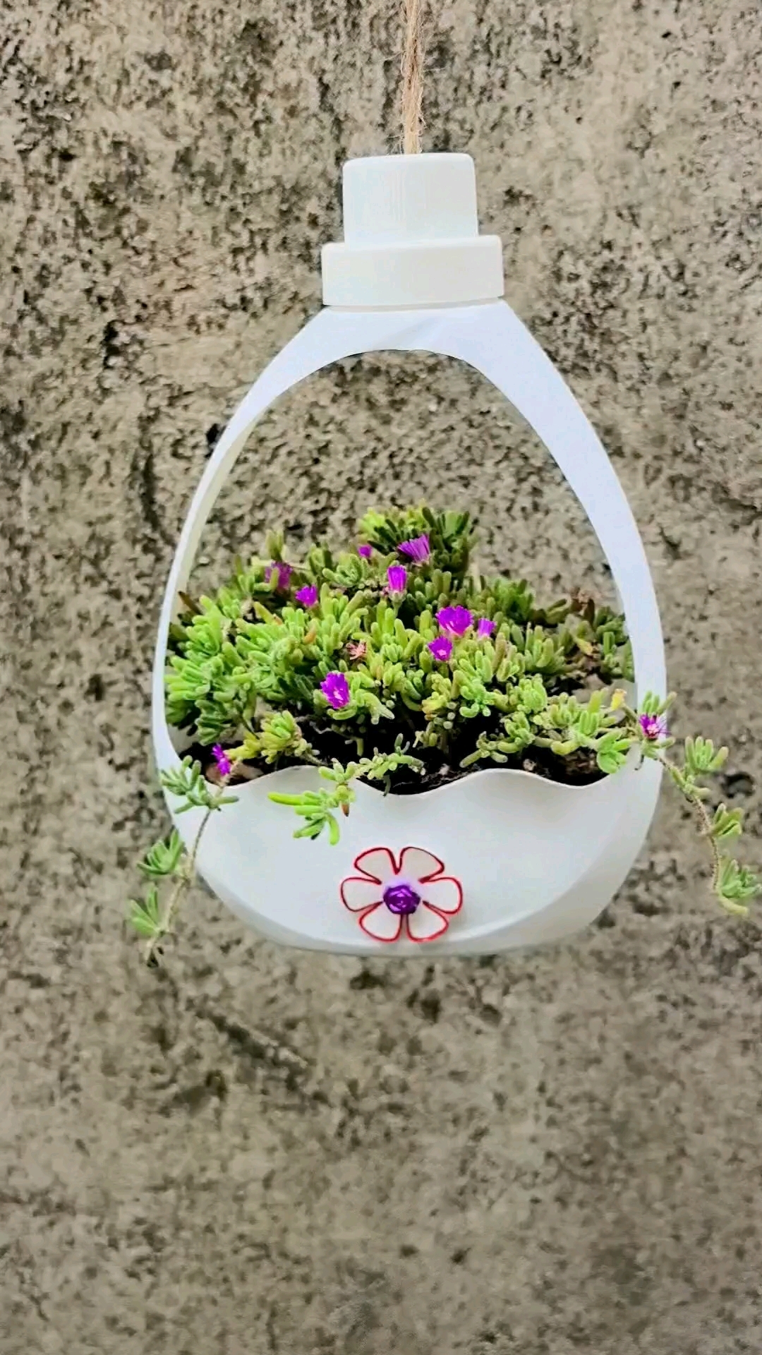 洗衣液瓶千万不要扔垃圾桶快来一起做花盆吧