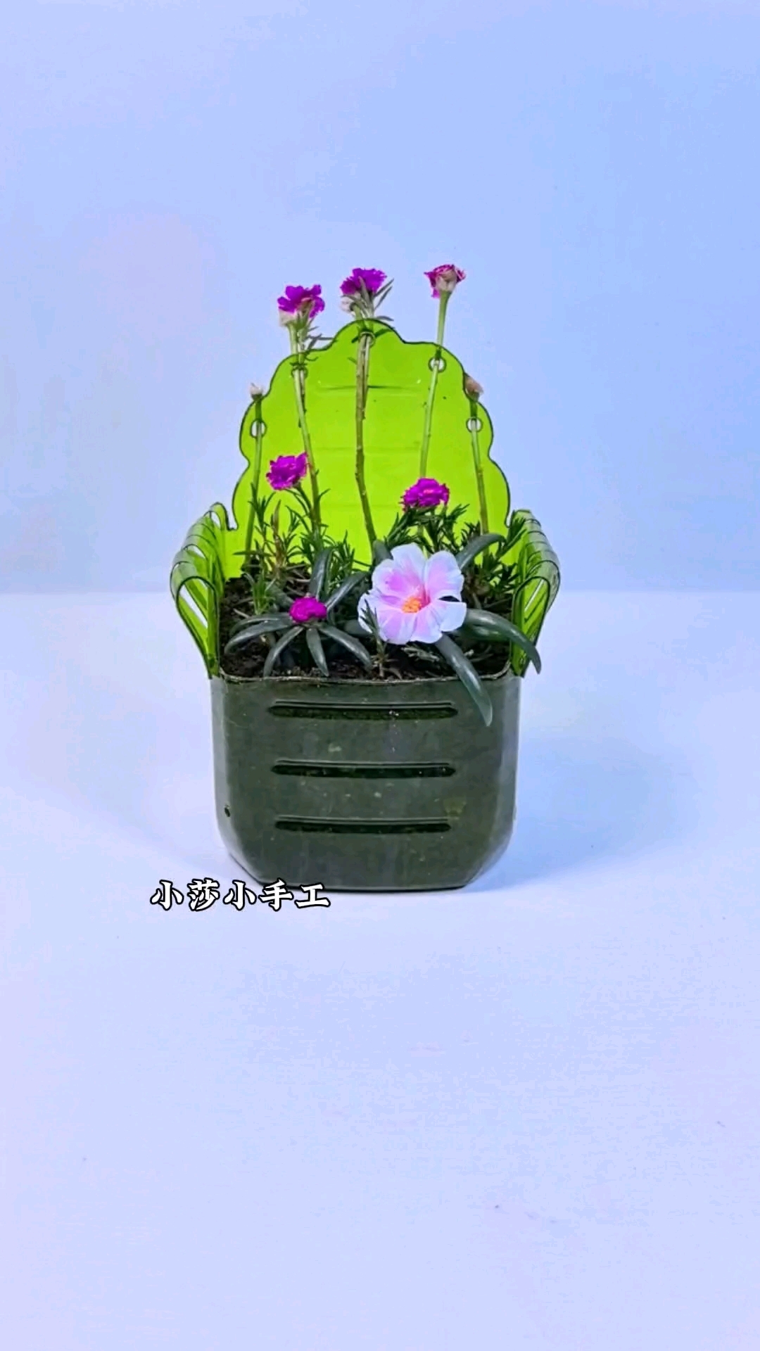 家里的塑料瓶简单改造一个创意花盆#手工 #自制花盆#手工制作