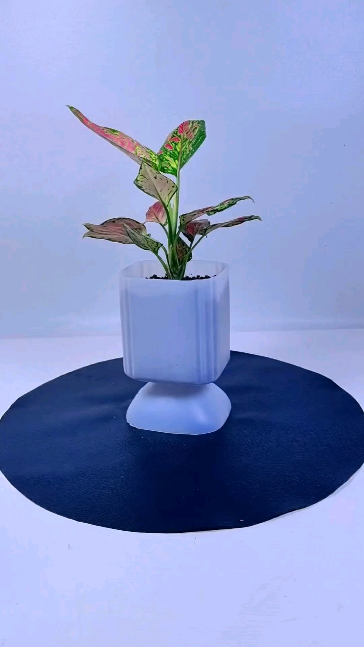 酸奶瓶变废为宝做简易花盆#手工花盆#自制花盆#空瓶子的妙用 