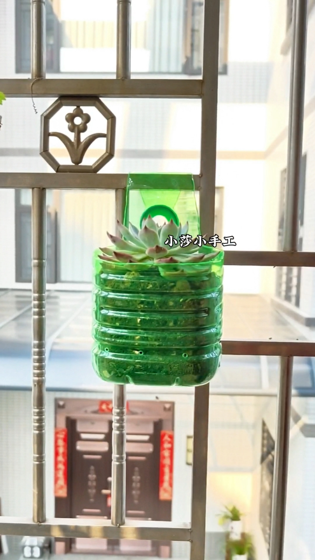 塑料瓶变废为宝做花盆挂起来好看又节省空间#废物利用#自制花盆