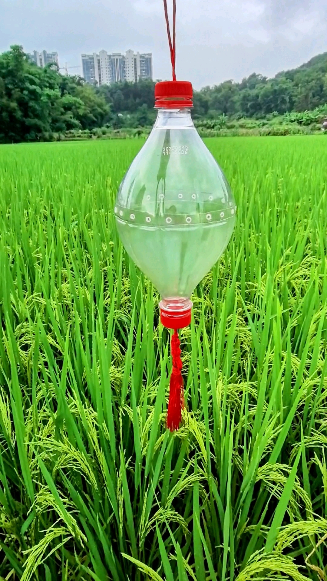简单易学的中秋节灯笼快和孩子一起做起来吧#手工 #手工制作