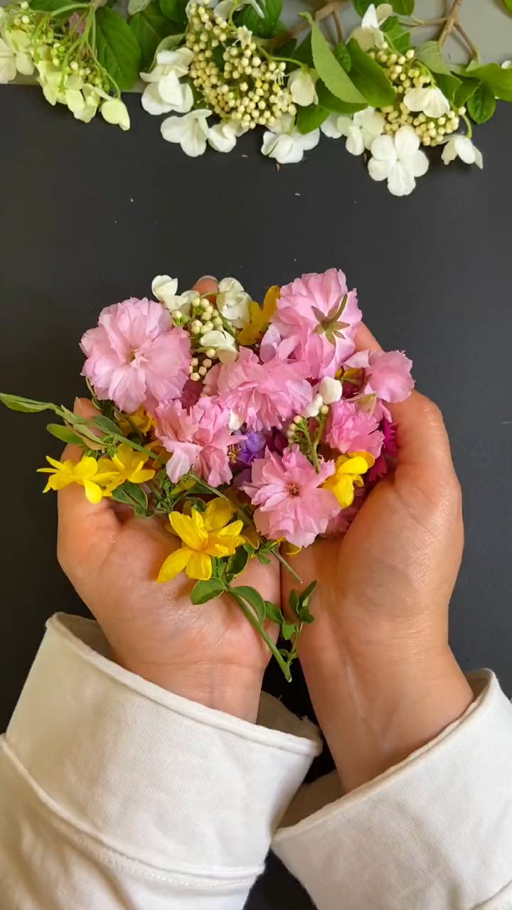 瓶子里的春天