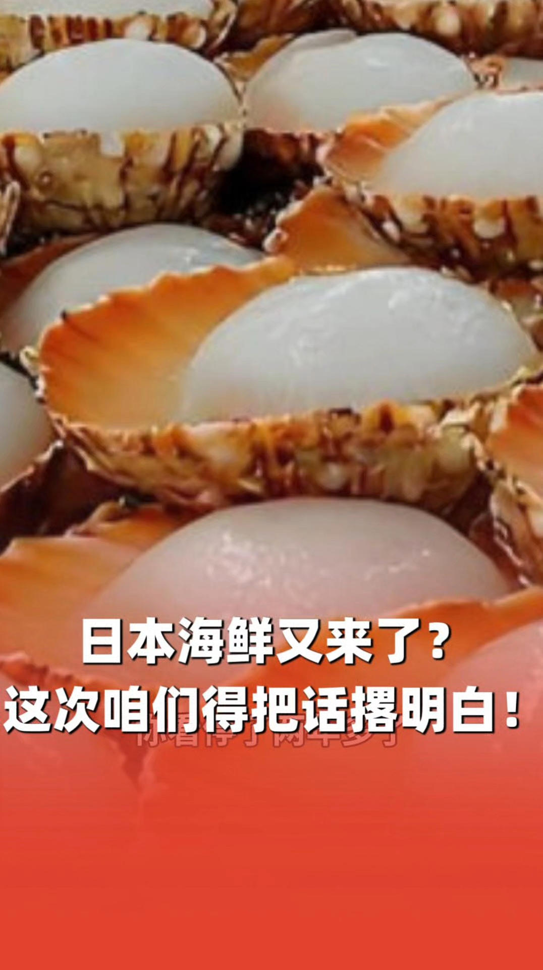 日本海鲜又来了？这次咱们得把话撂明白！