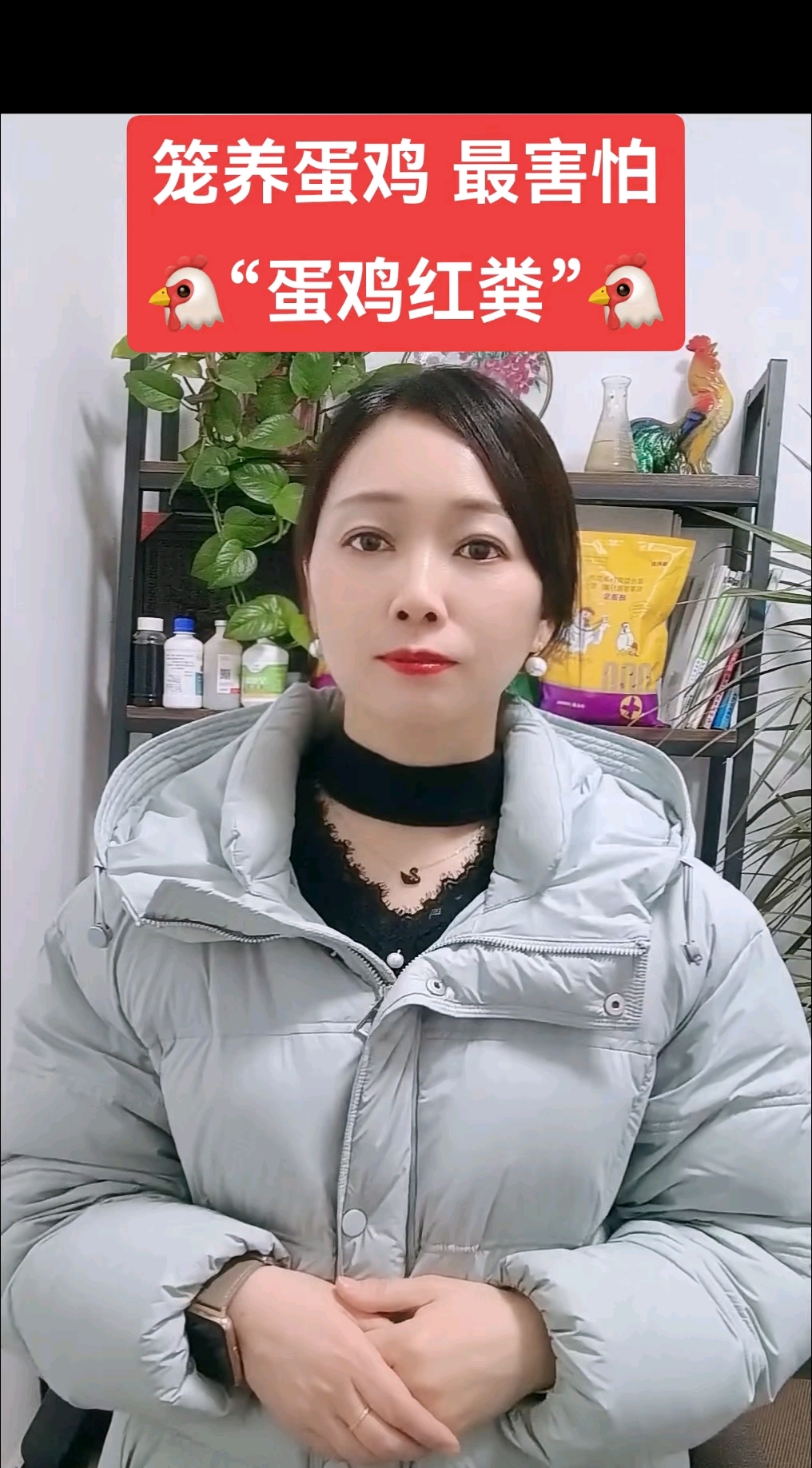 笼养蛋鸡,最怕拉红粪