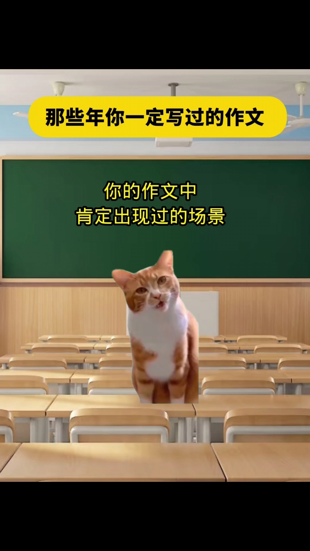 那些年写过的作文