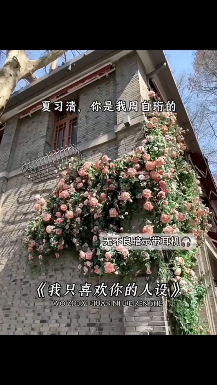 我只喜欢你的人设