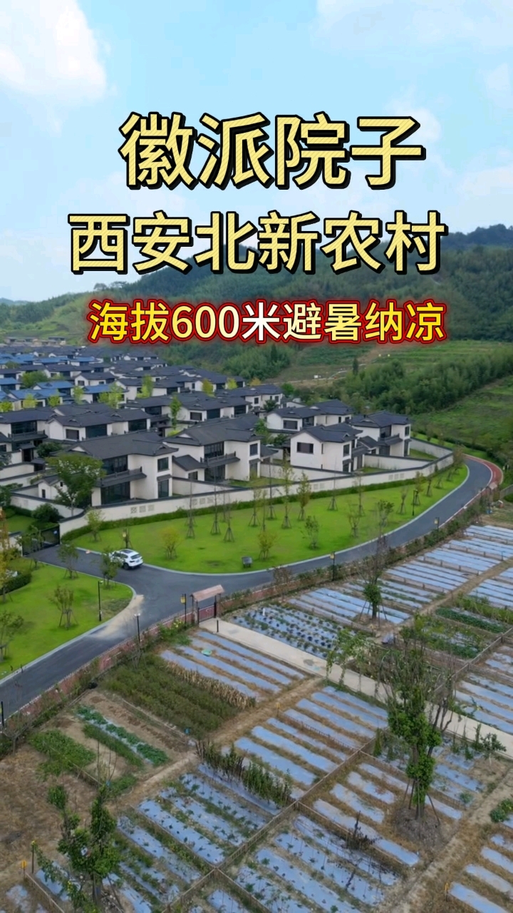 千万别错过徽派院子!