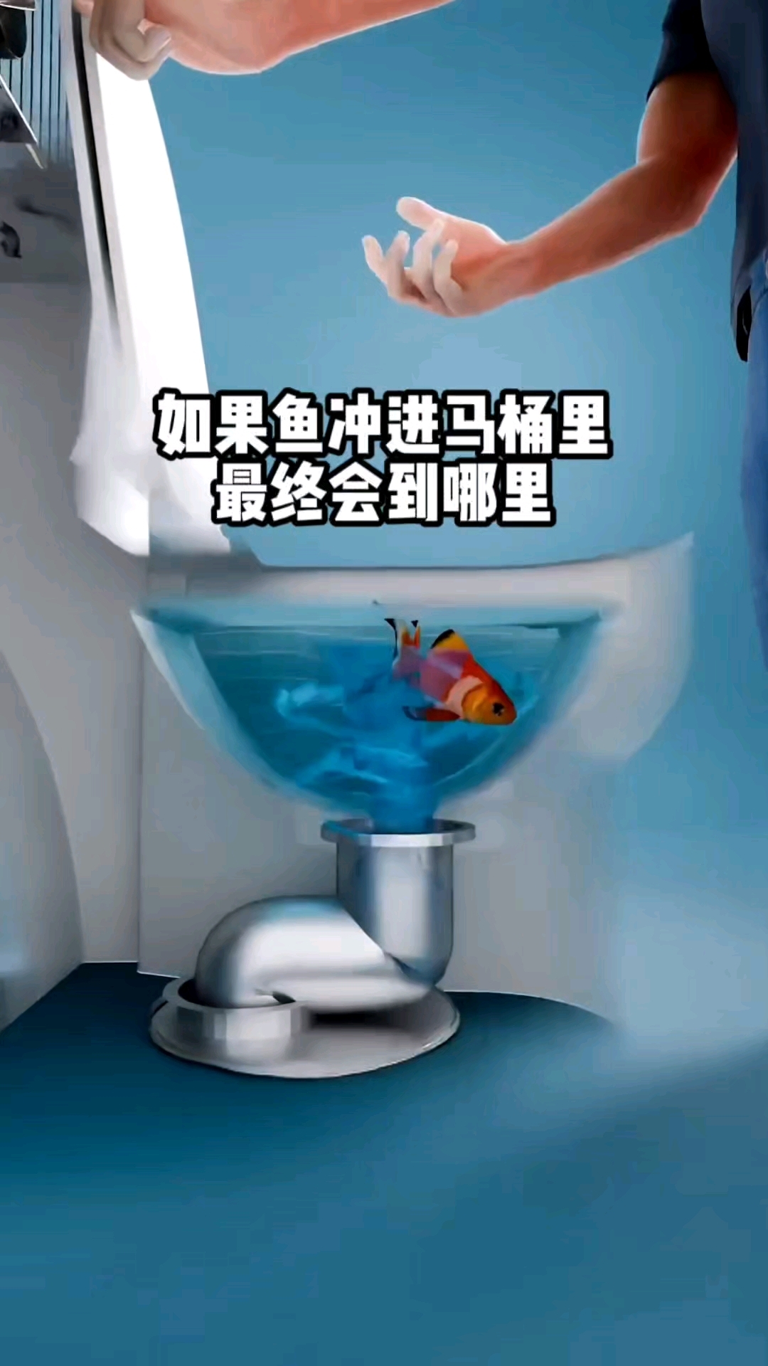 如果鱼冲进马桶里,最终会到达哪里?