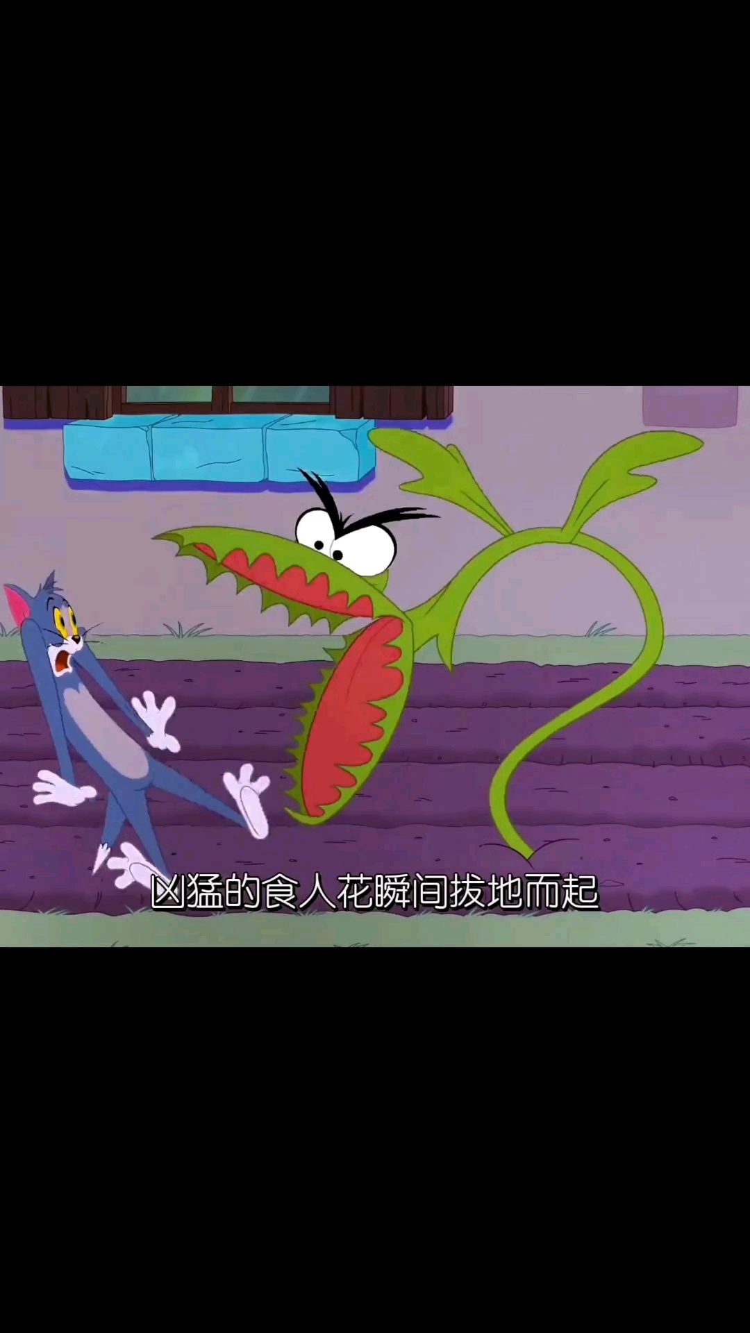 汤姆和杰瑞