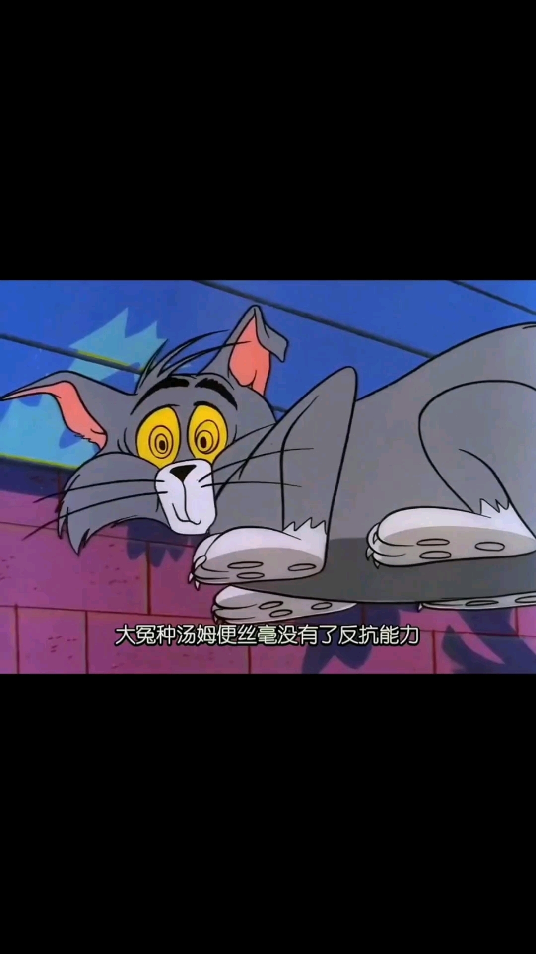 汤姆和杰瑞