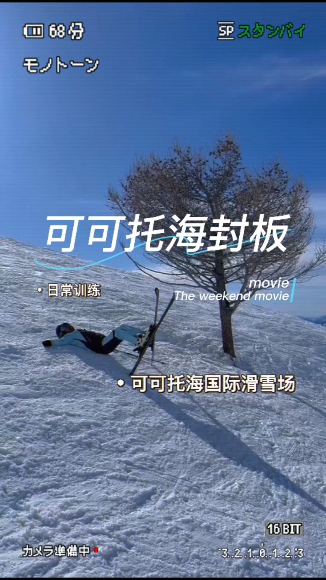滑雪,双板平行式