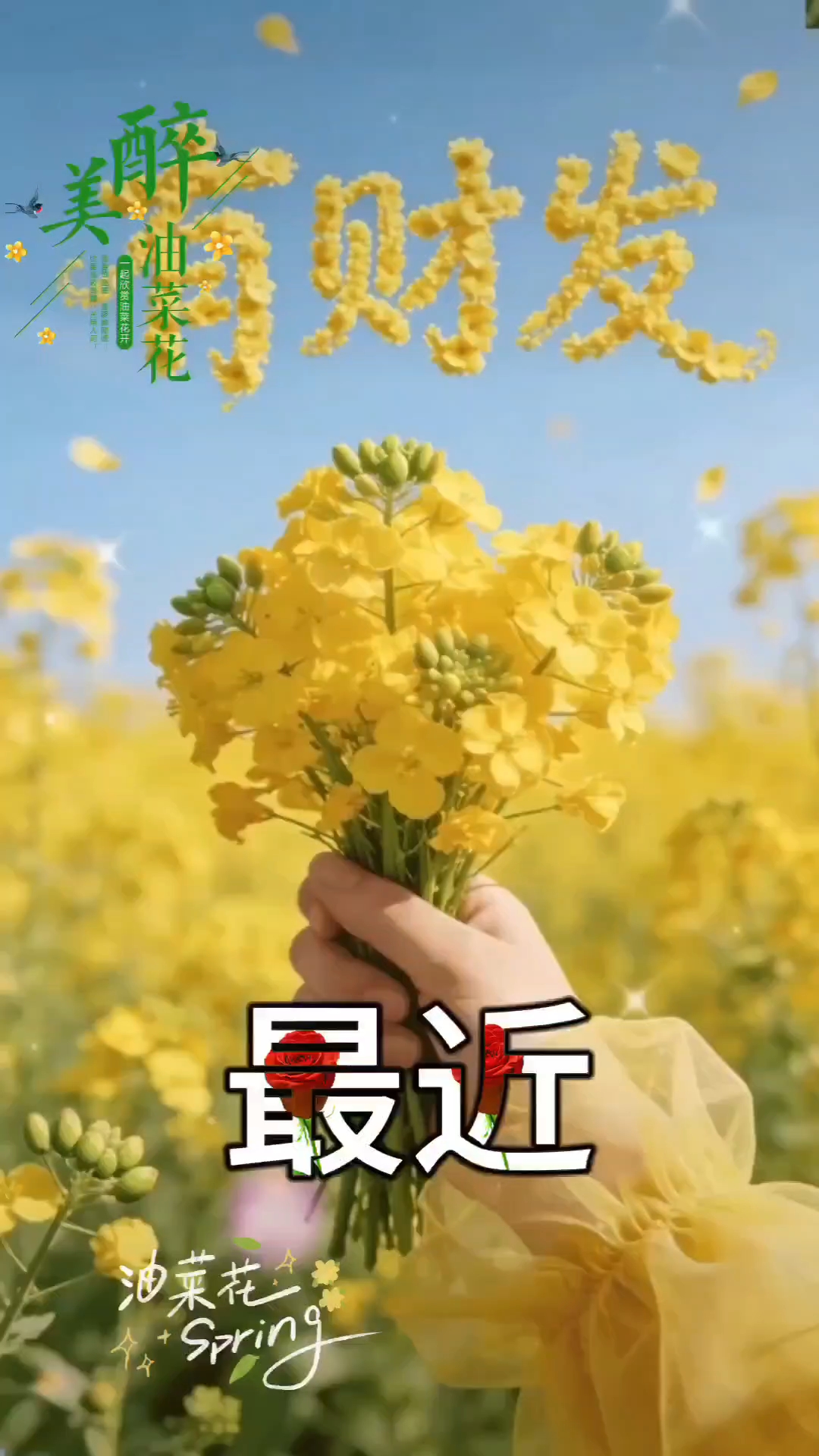 油菜花的花语叫:有财发