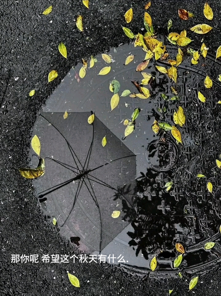 希望这个秋天有什么?